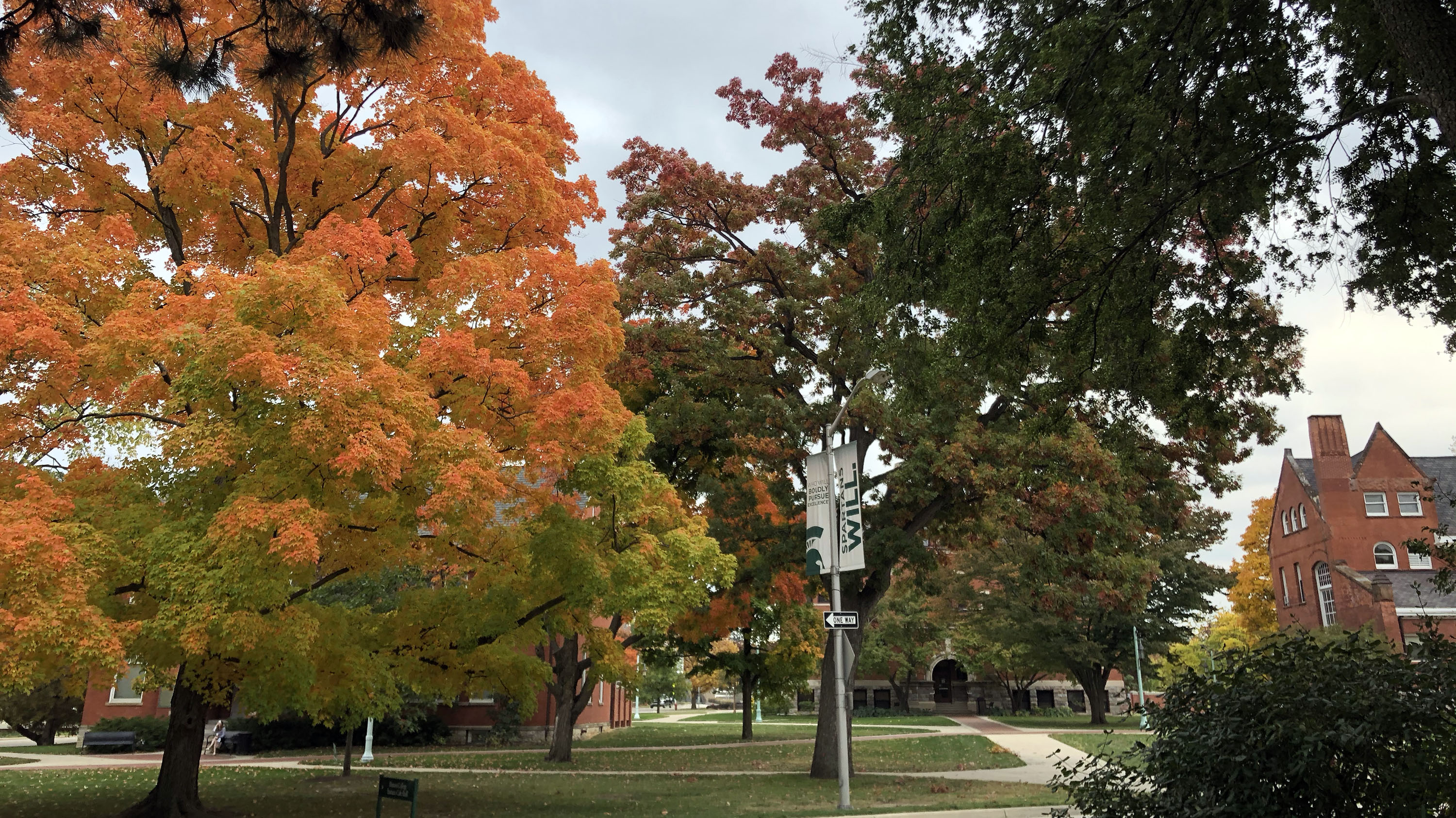 Fall trees by Eustice-Cole Hall.