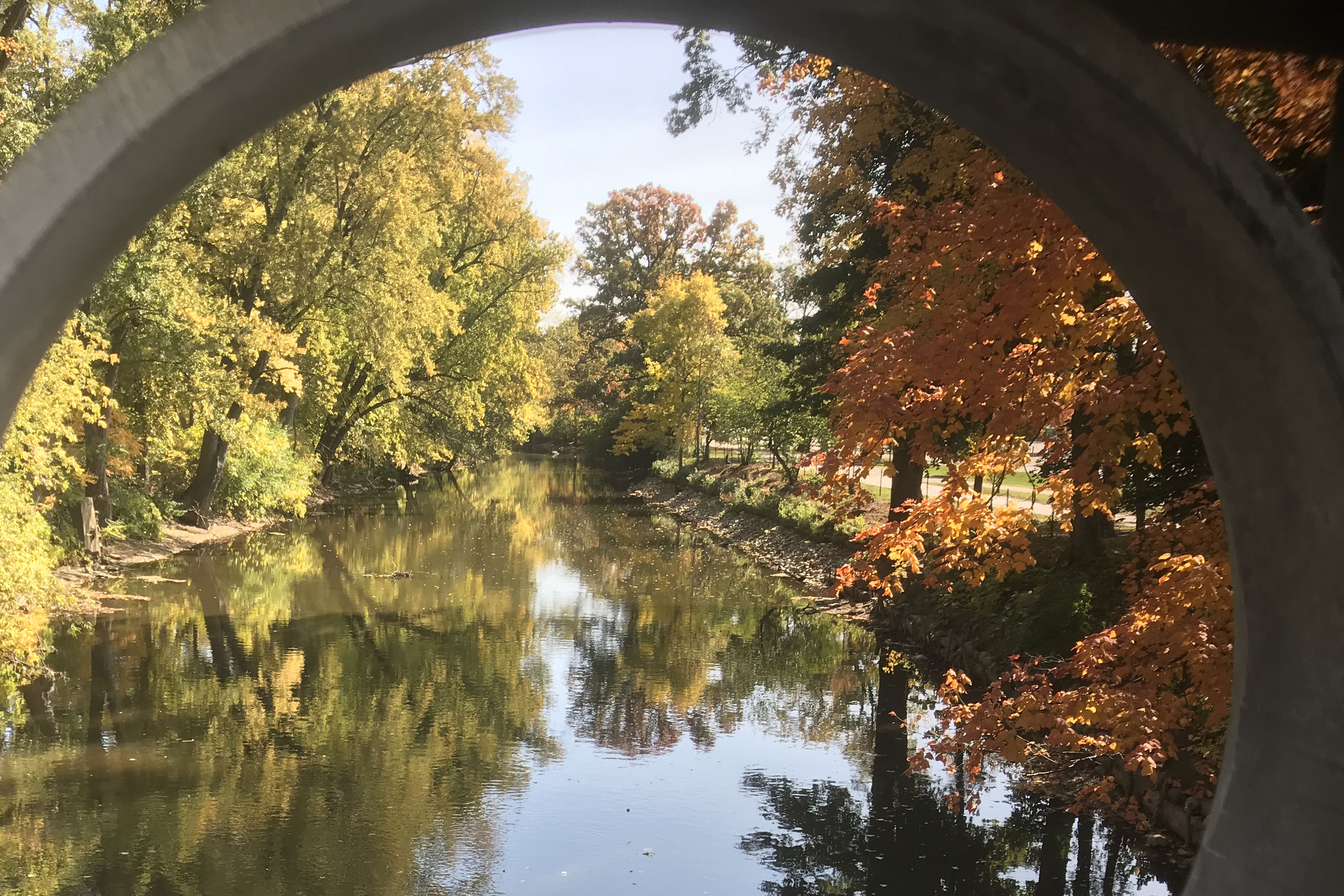 Red Cedar River