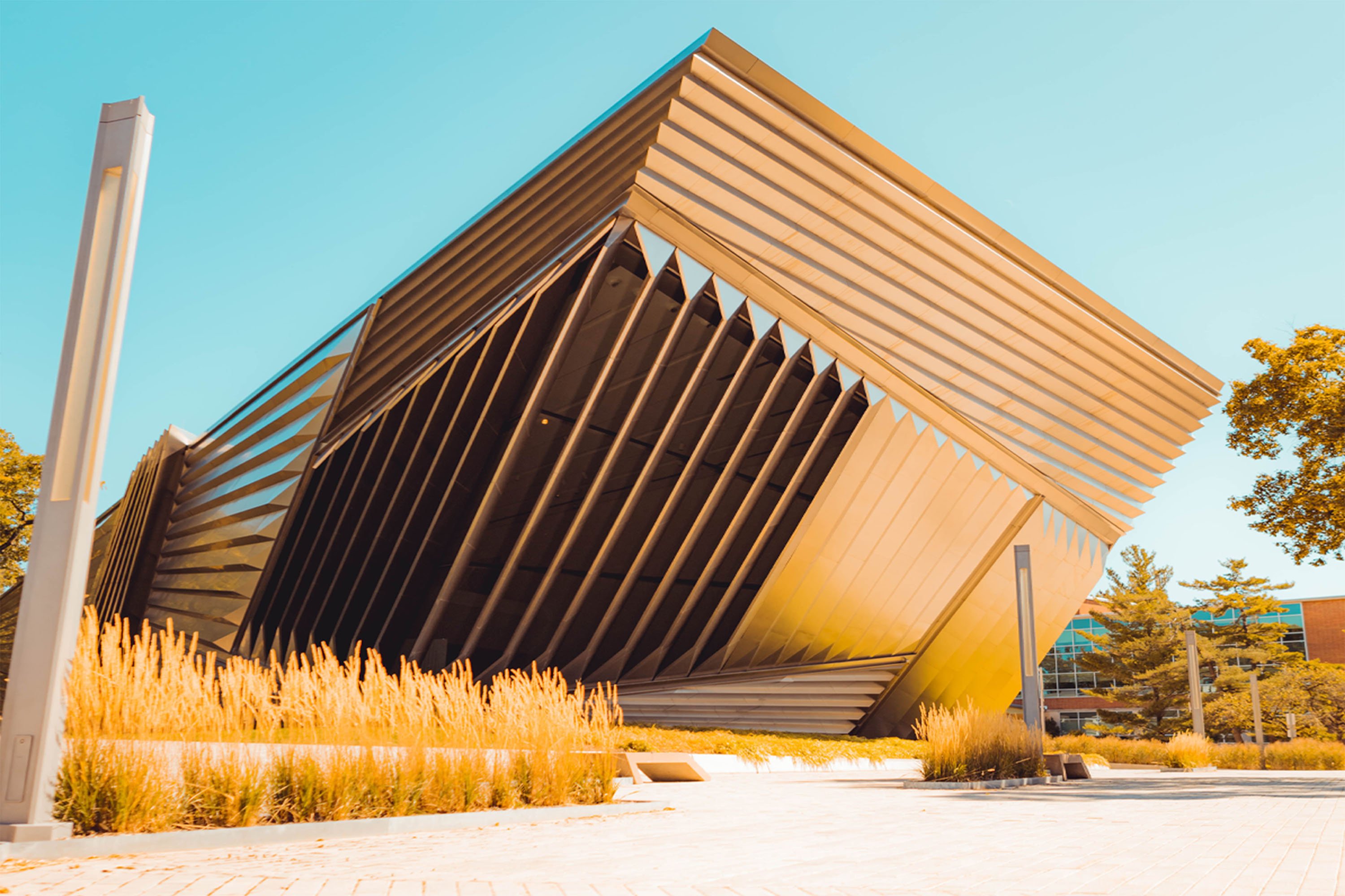 Broad Museum