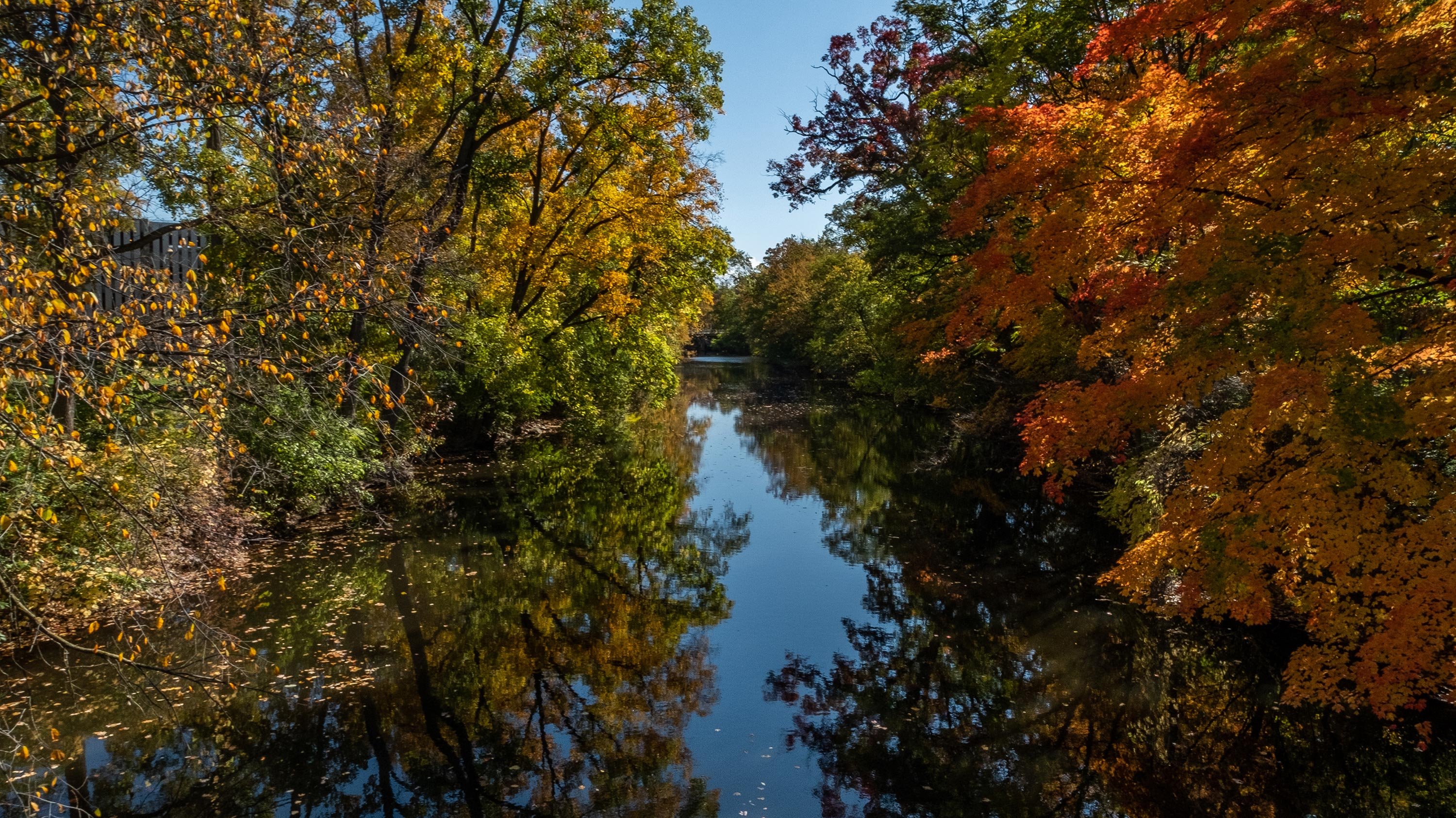 Red Cedar river