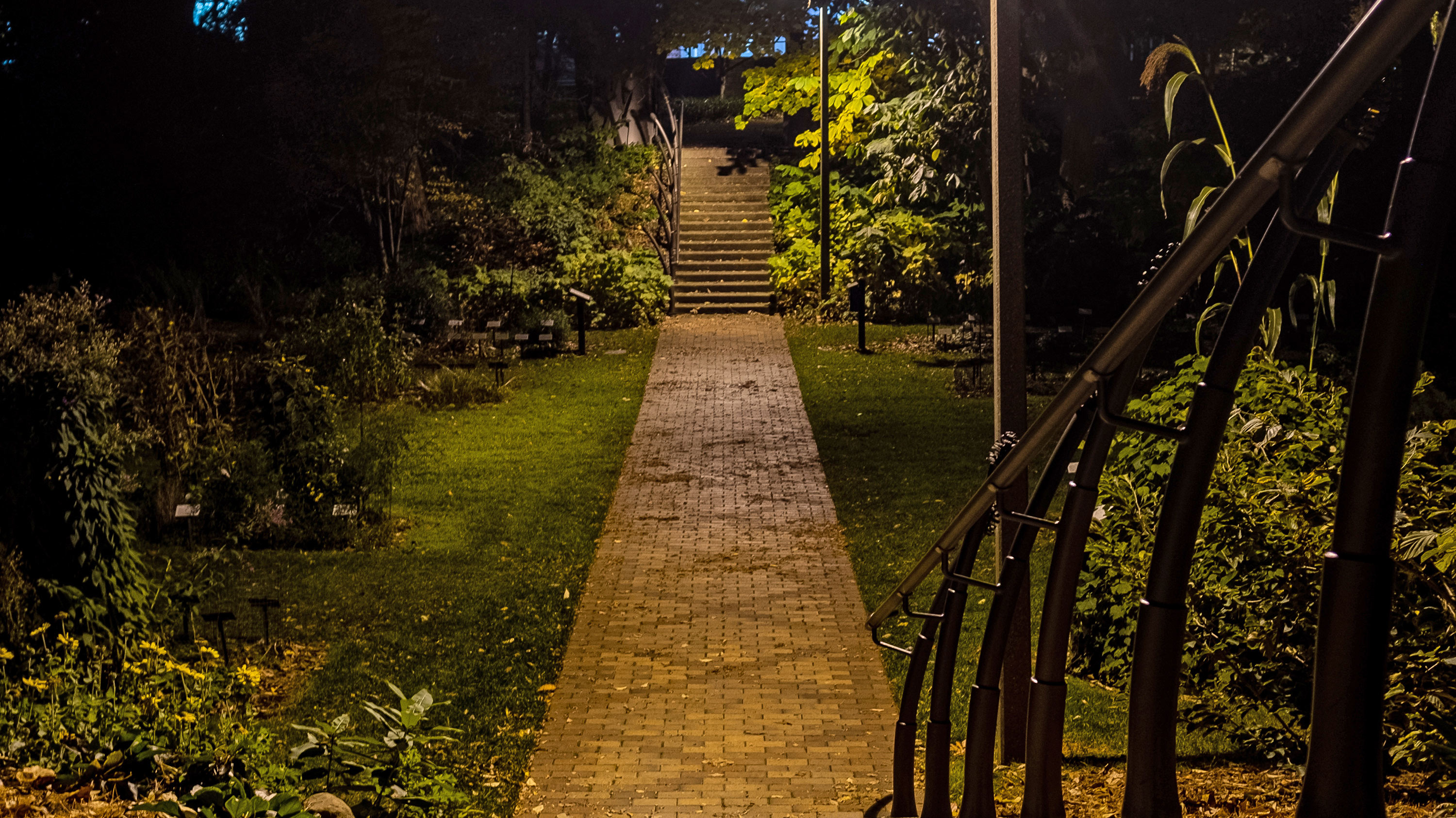 Beal Garden entrance at night. 