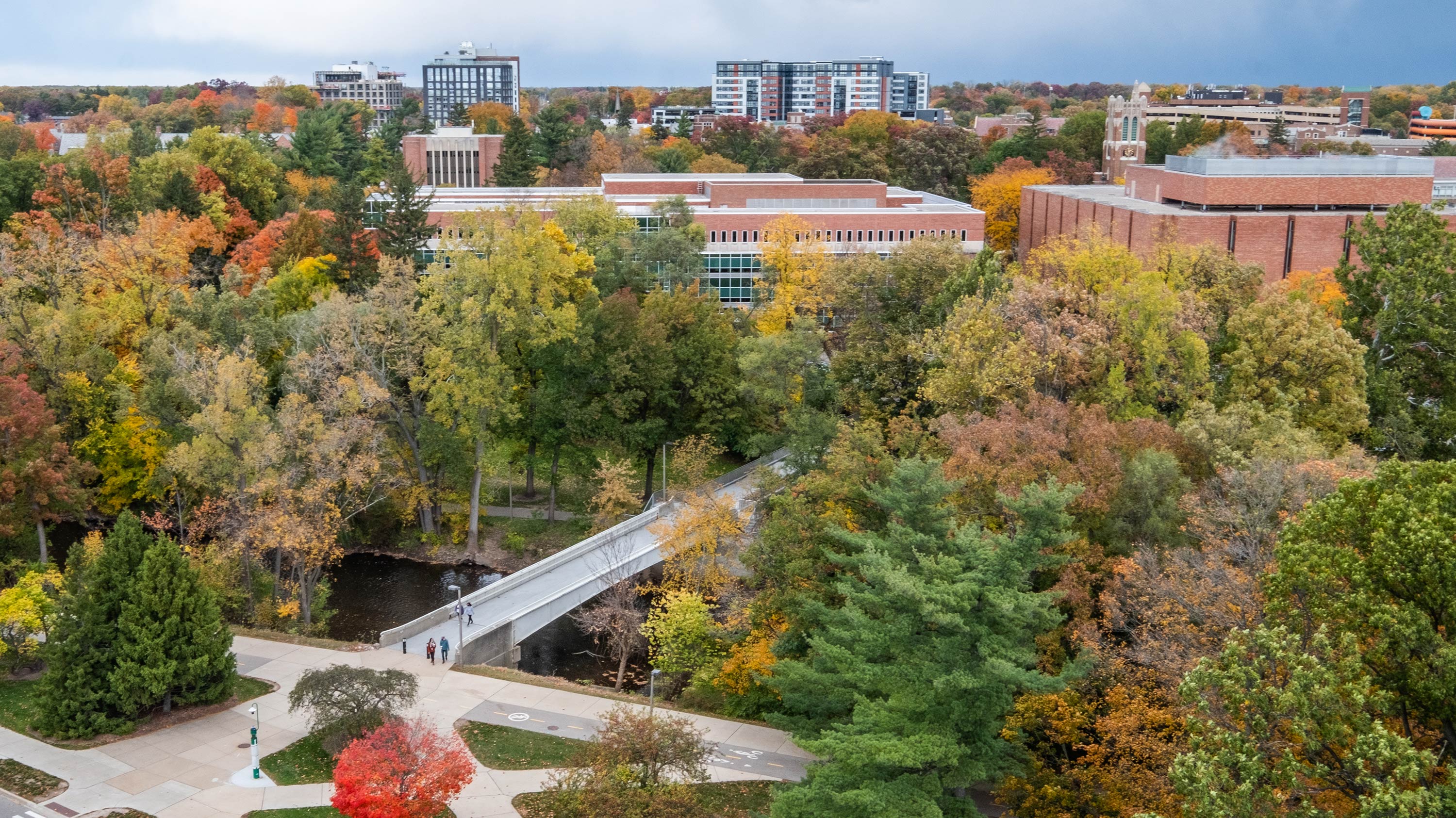 overview of campus in fall