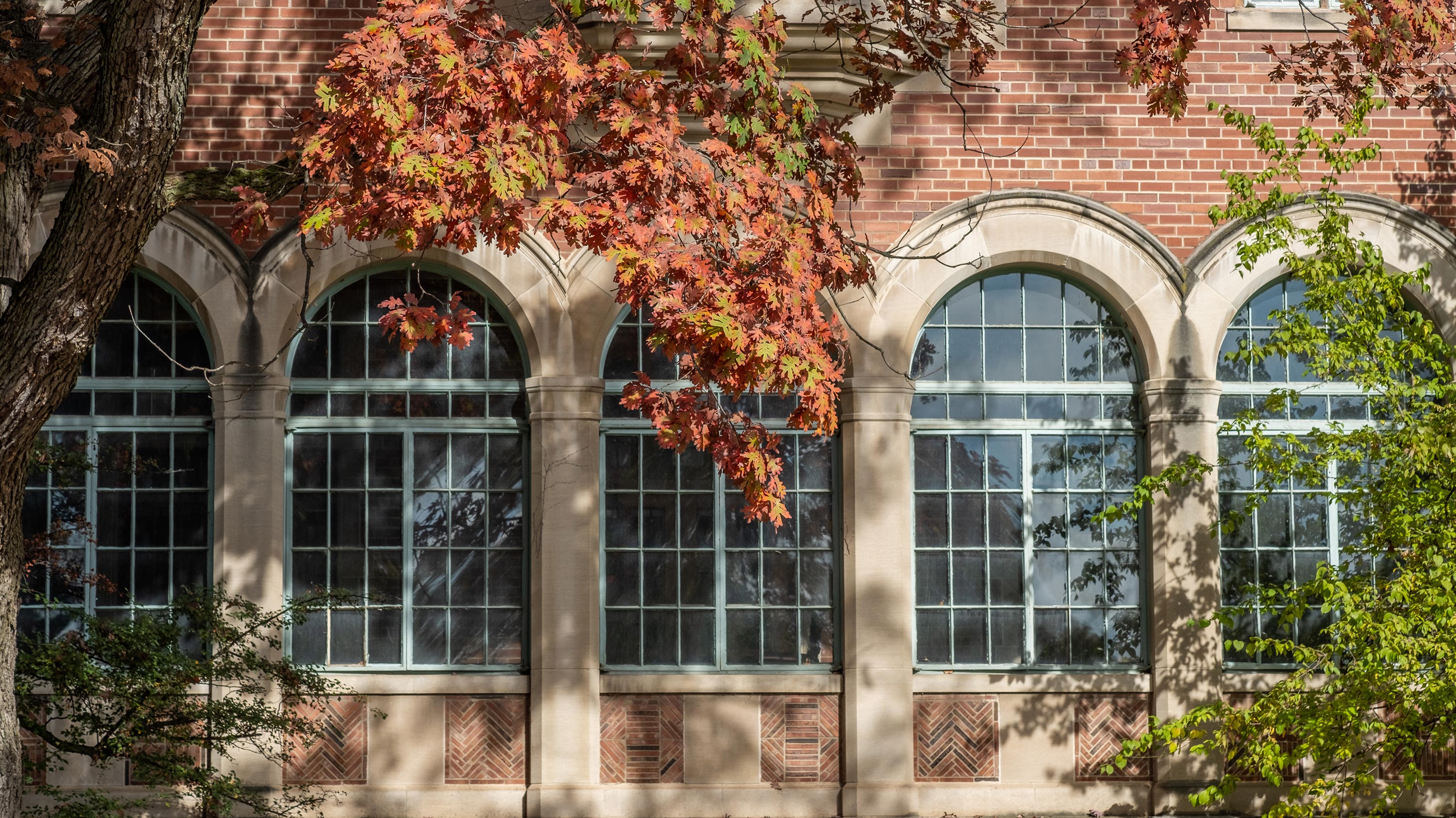 Yakely Hall windows and leaves