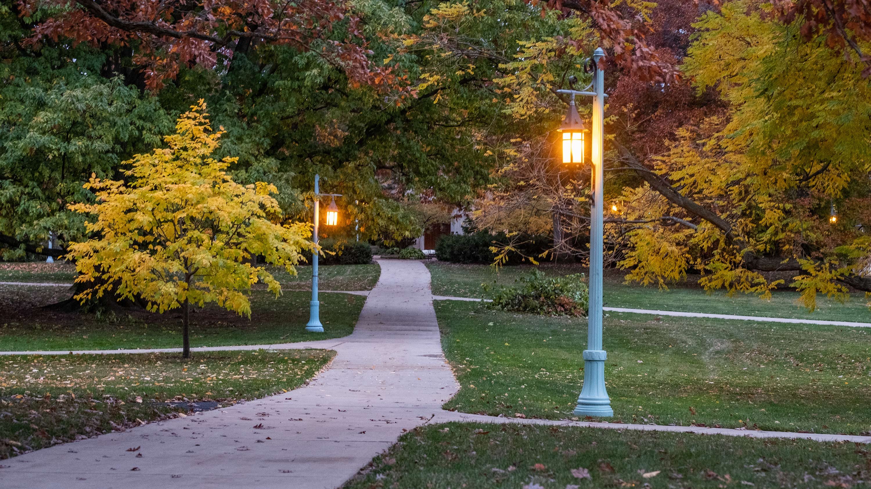 Lanterns on campus