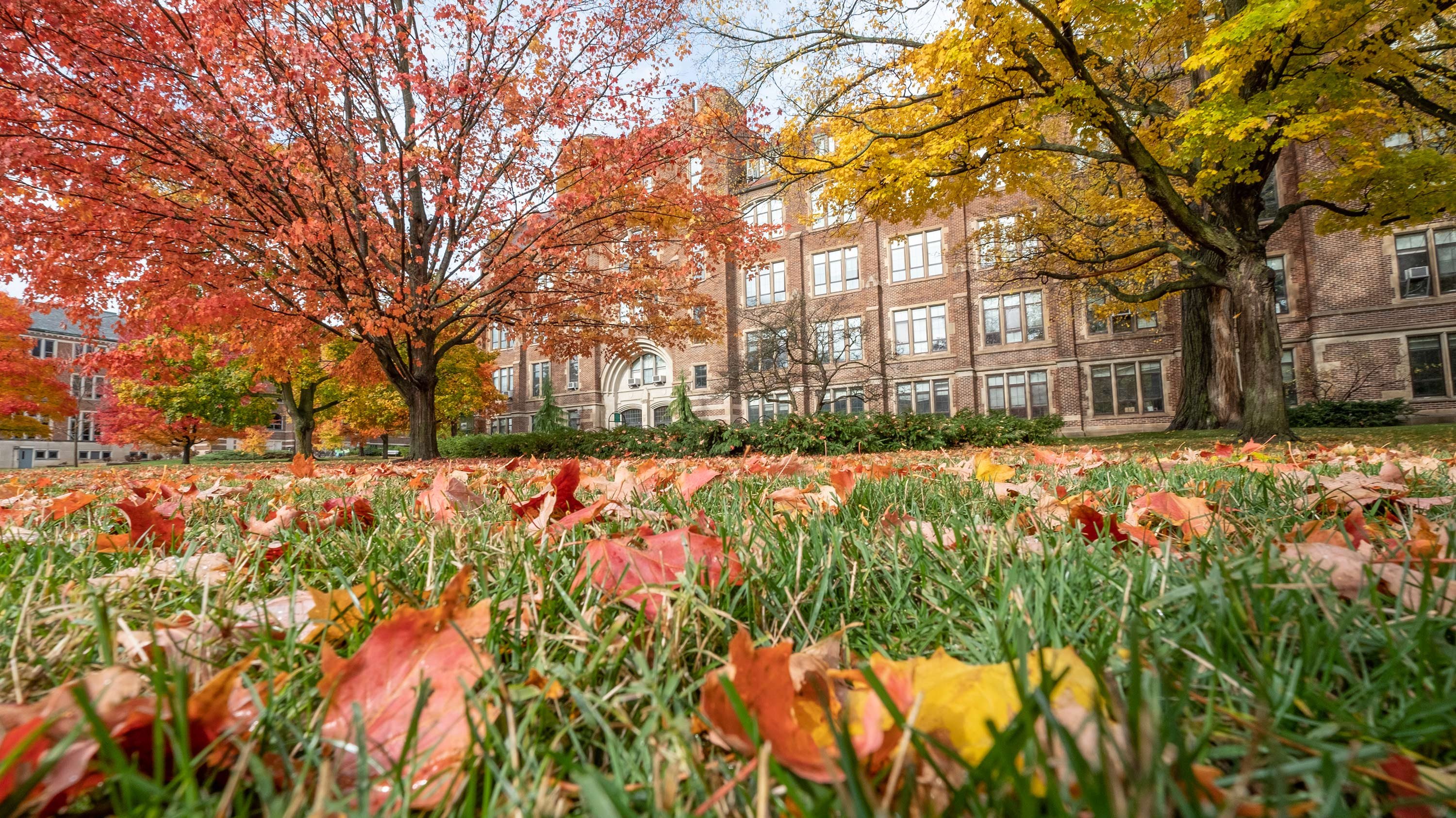 Ecology building behind some leaves