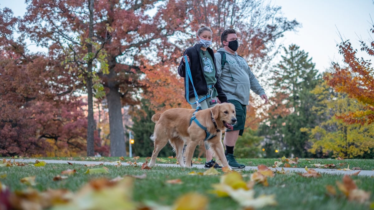 Two people walking a dog