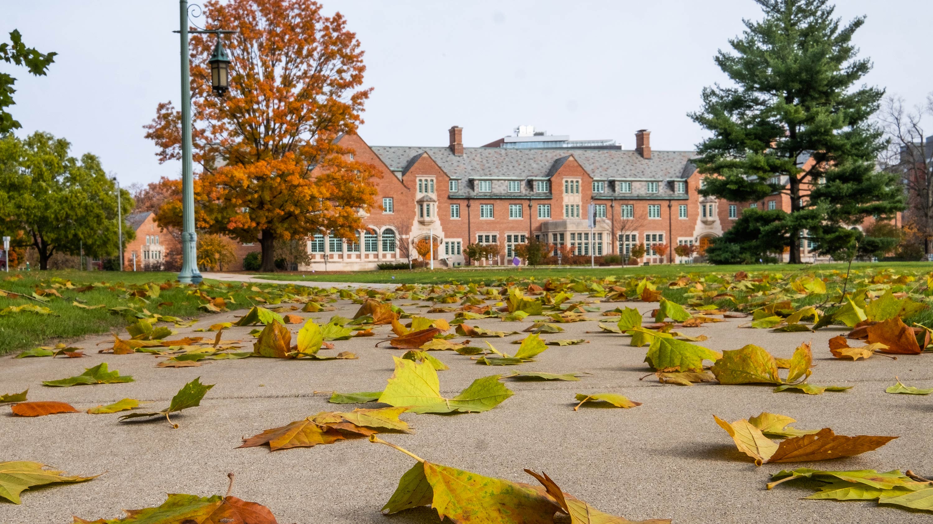 Landon hall in the distance with fall leaves on the sidewalk in the foreground