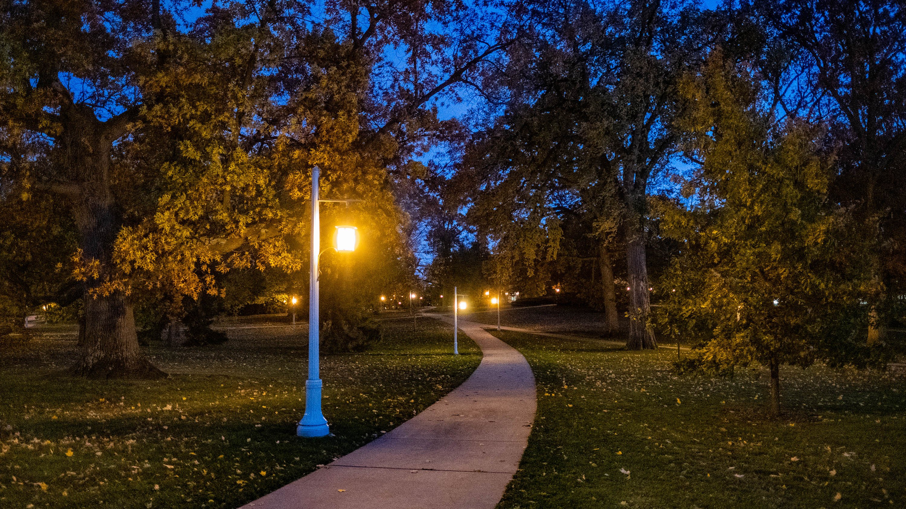 Lanterns along a sidewalk at night
