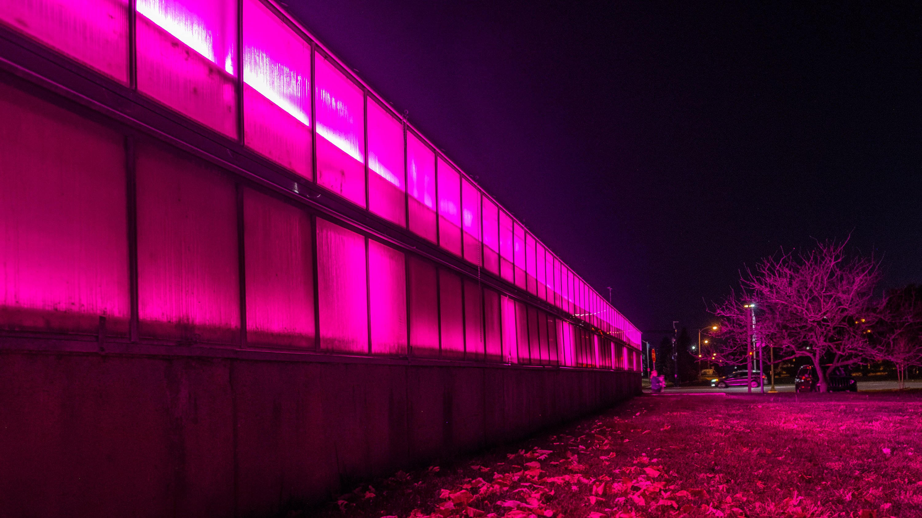 Greenhouse lit by pink light