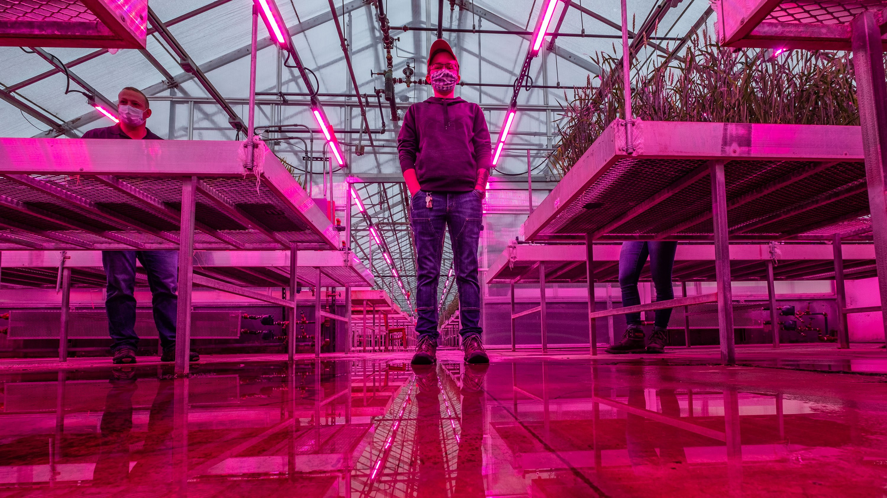 Chrislyn Particka stands in the MSU Greenhouse.