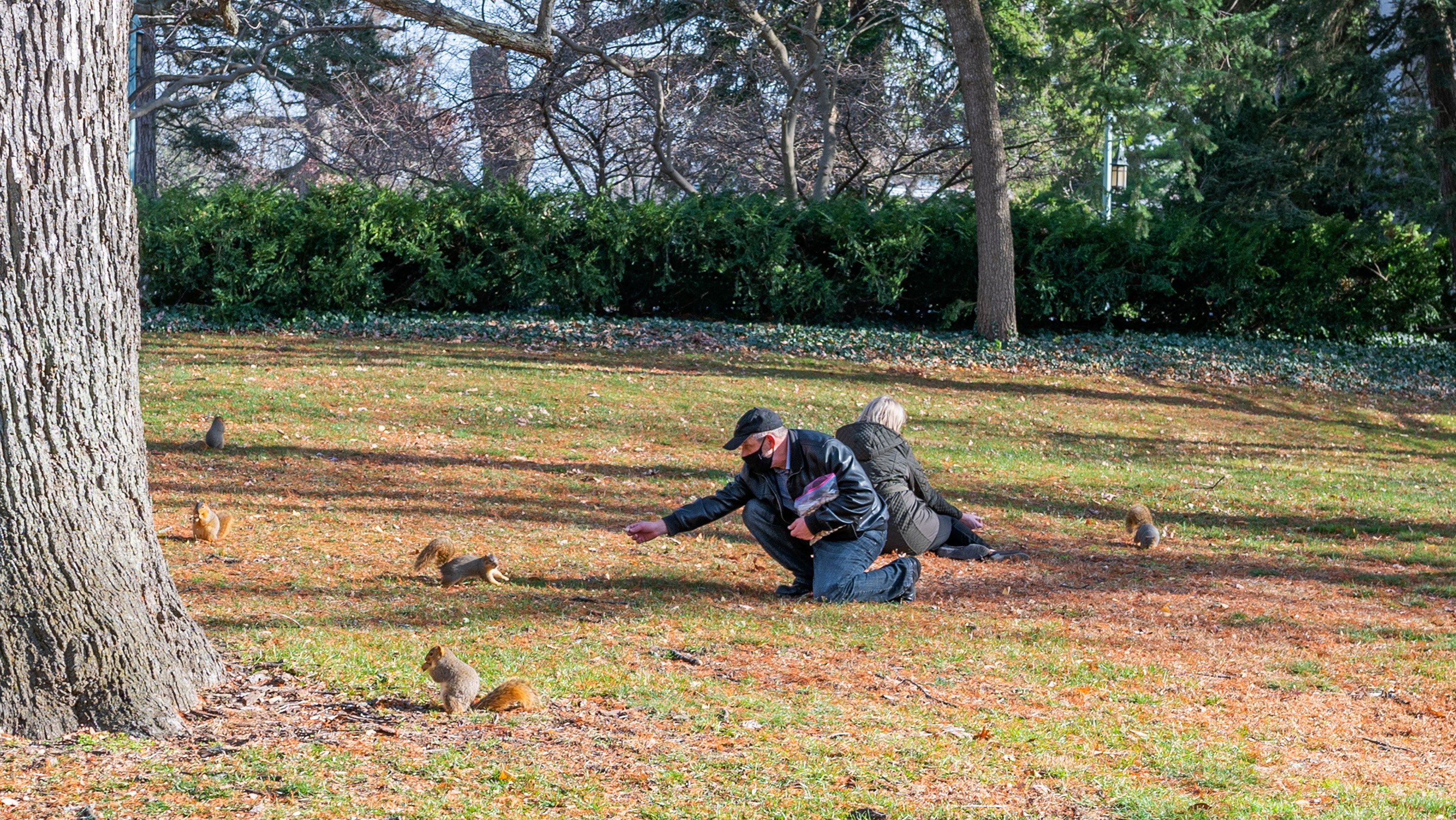 Man feeding squirrels