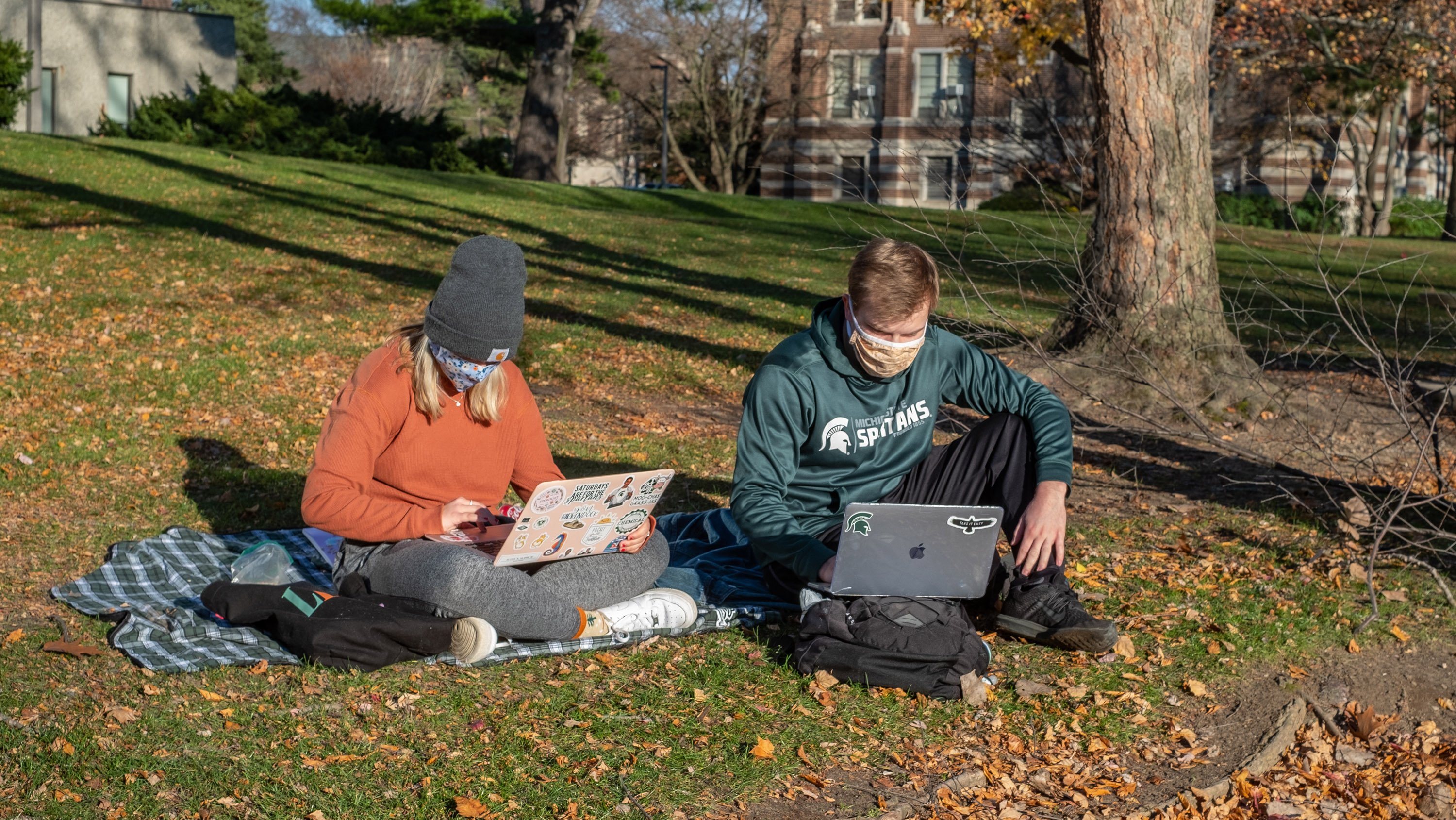 Students studying outside