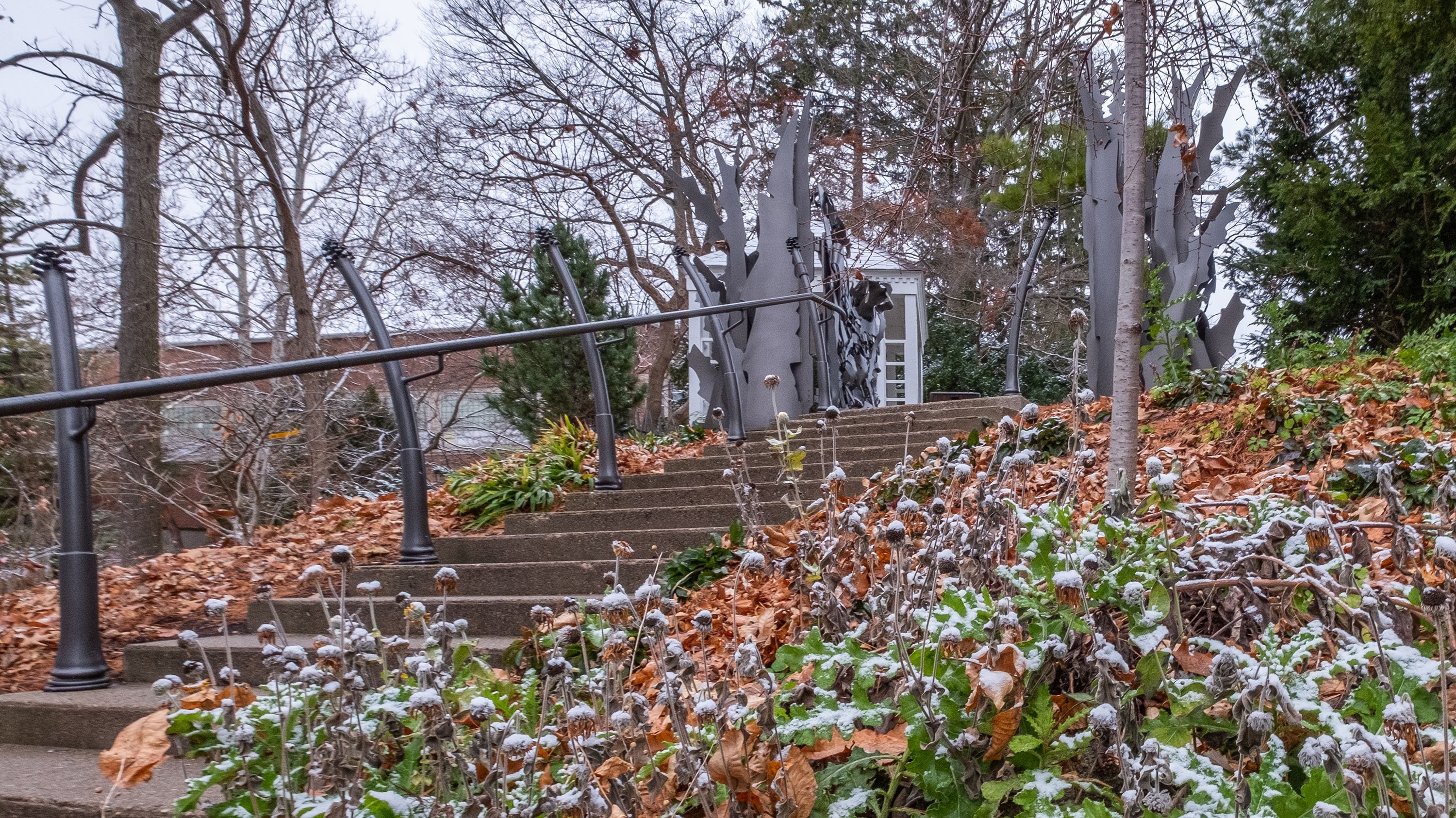 The stairs of Beal Garden in the snow