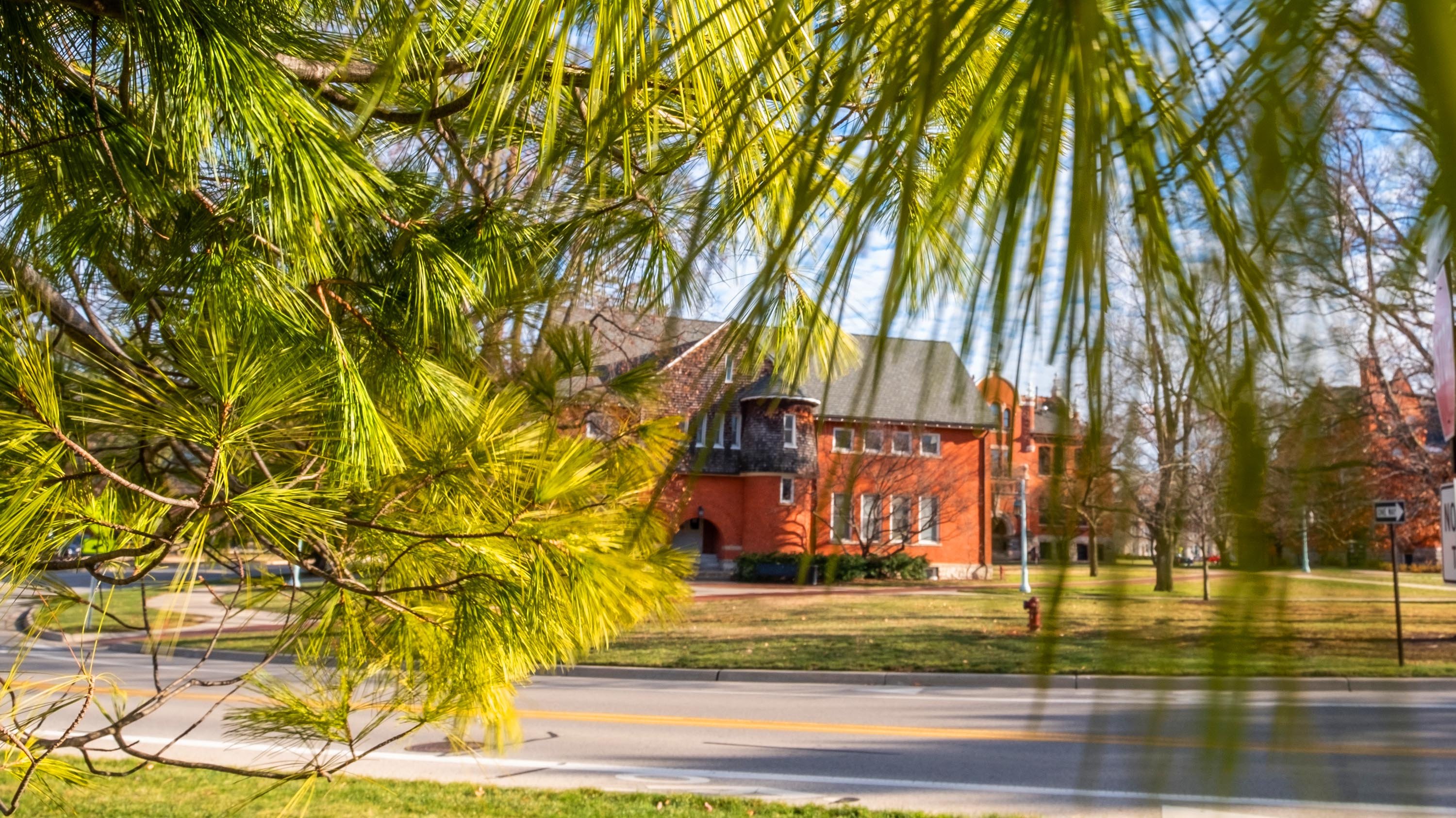 Eustace-Cole Hall obscured by pine needles
