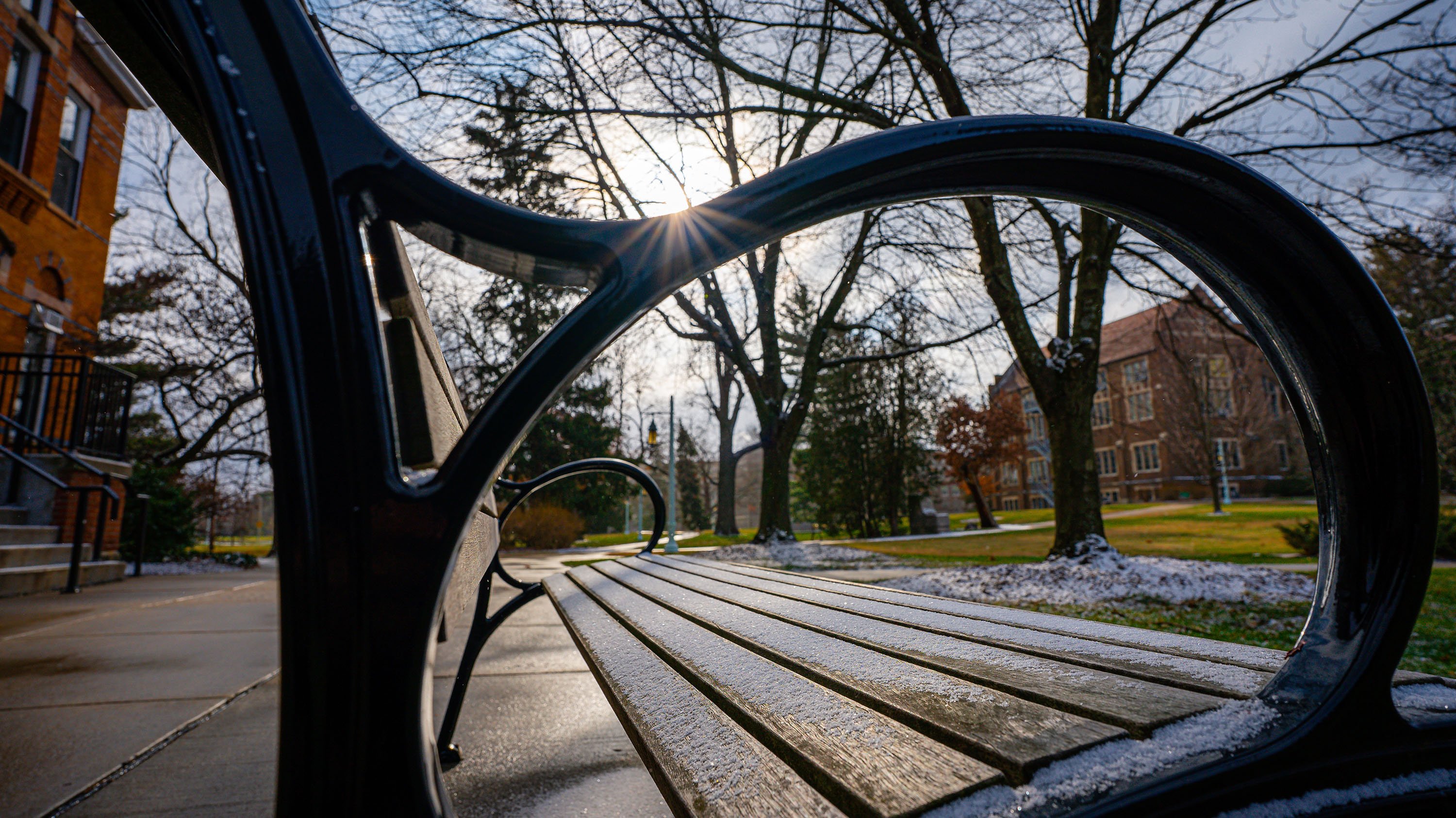 Close up of a bench