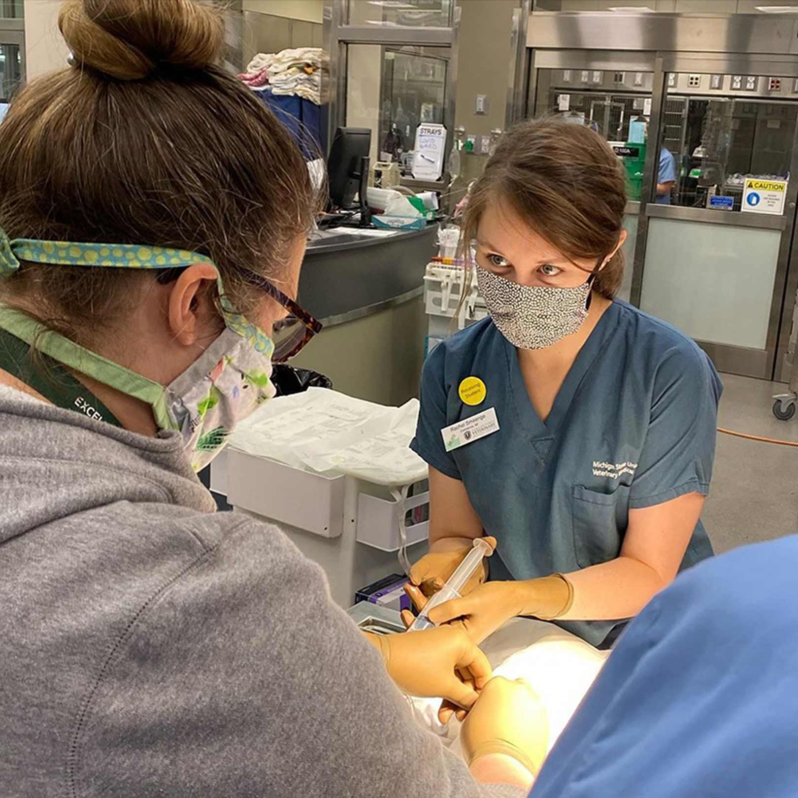 vets-in-surgery2