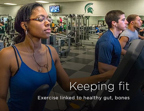 Keeping fit: Excercise linked to healthy gut, bones