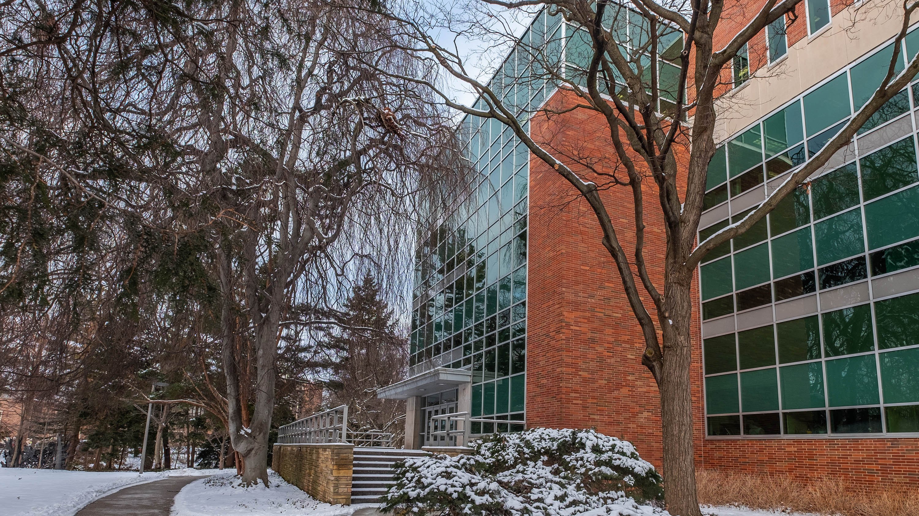 West entrance to the MSU Main Library on a winter day.