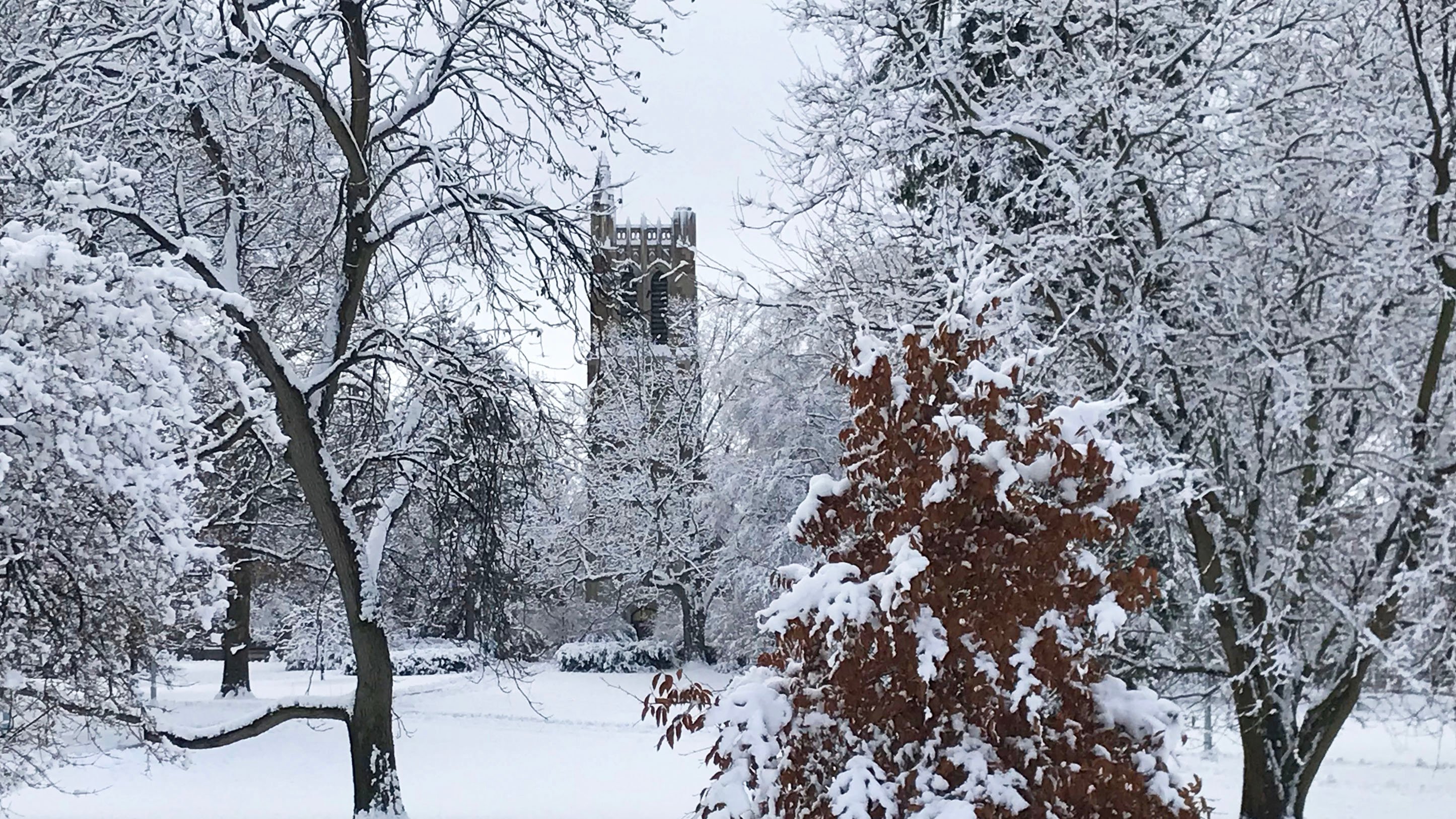Campus in winter with Beaumont Tower in the distance