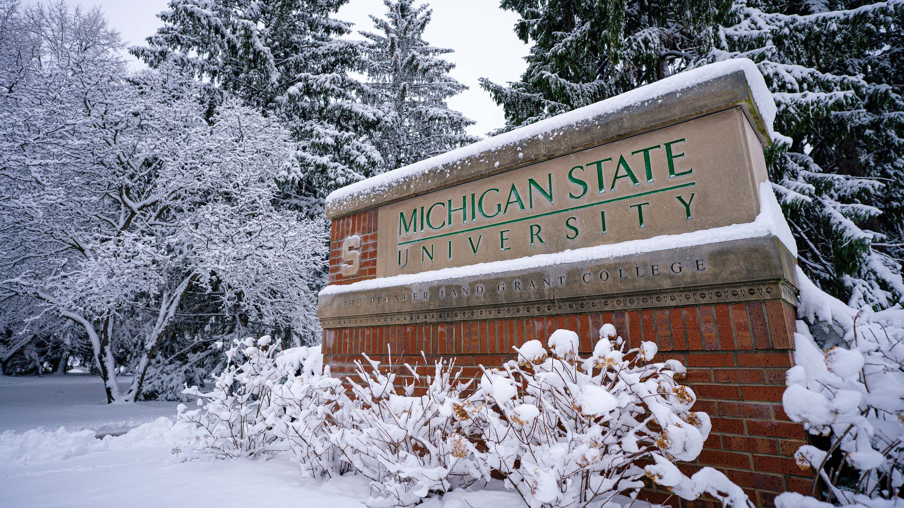 MSU entrance in the snow