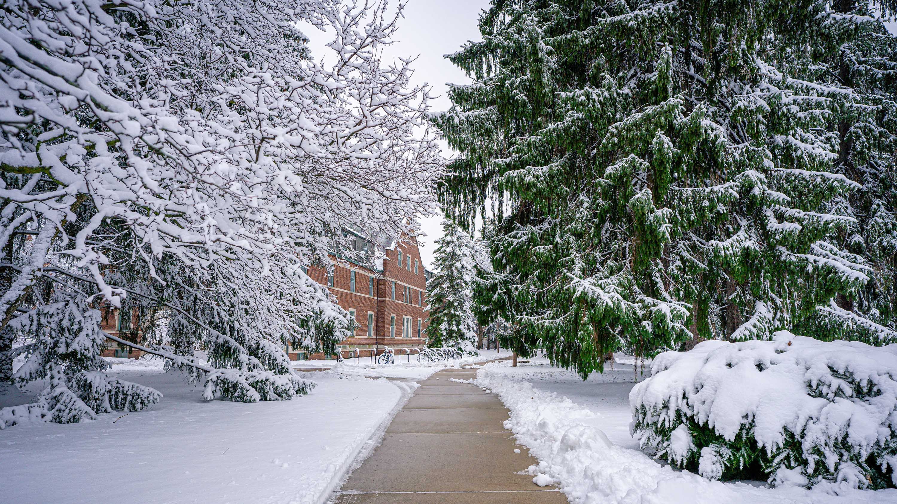 A path near north campus in the snow