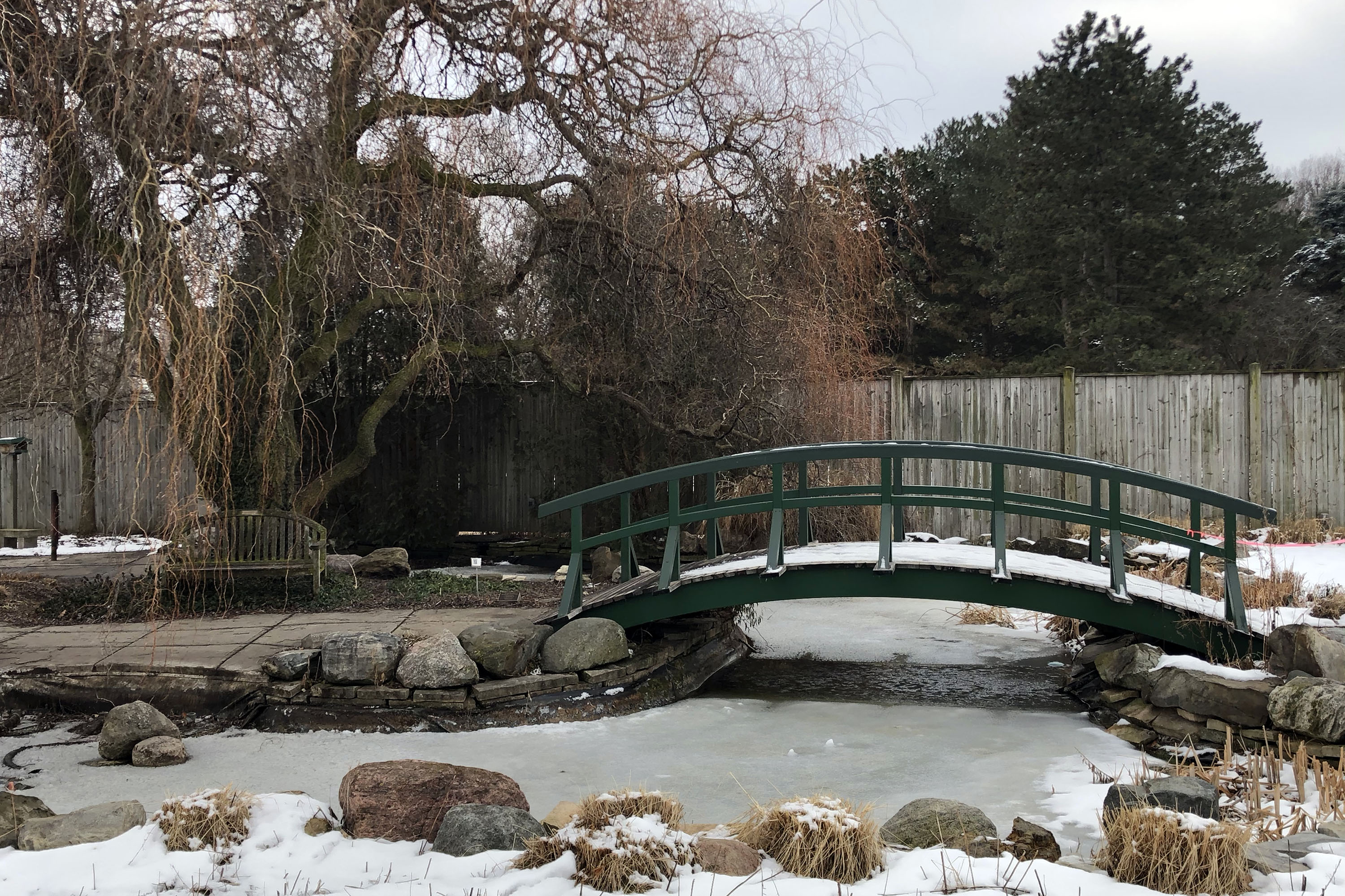 Arched bridge over an icy pond near winter trees in the Children's Garden