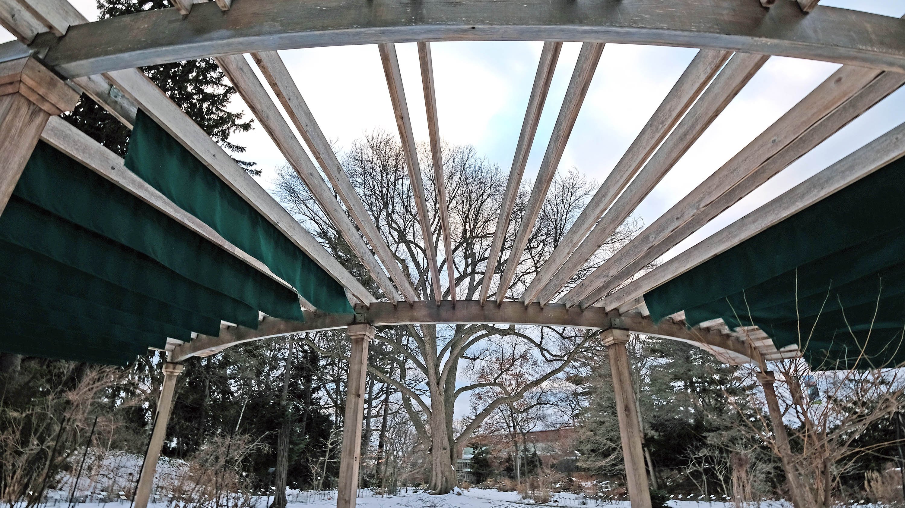 Beal Garden pergola