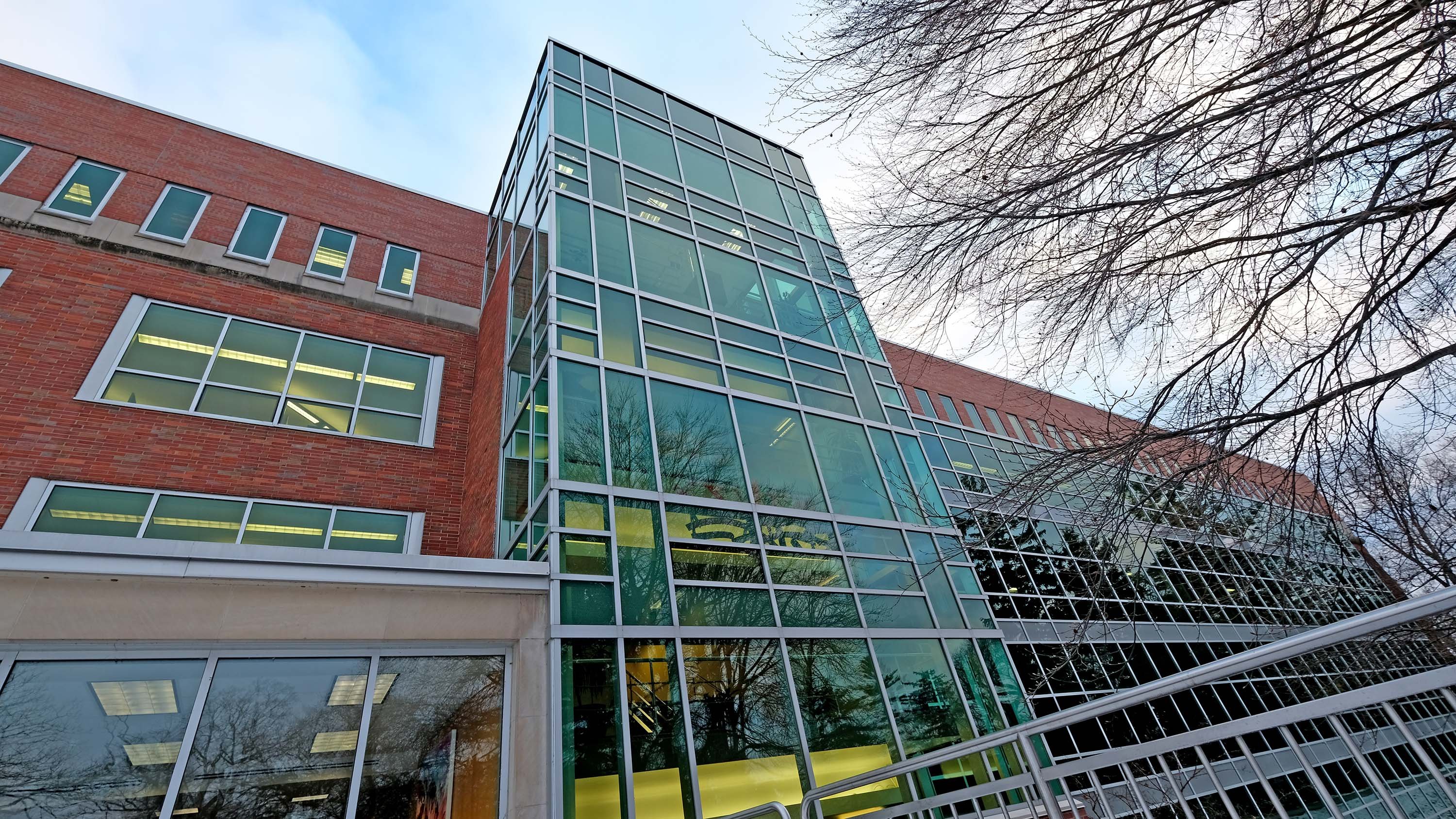 MSU library