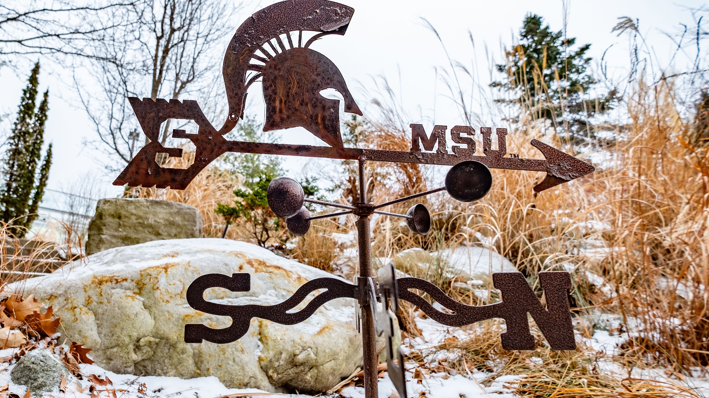 A rusty MSU weathervane 