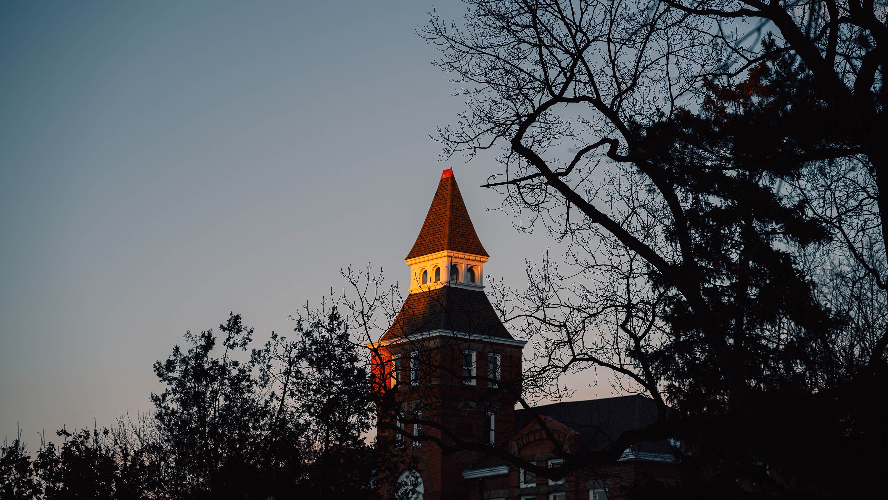 The roof of Linton Hall