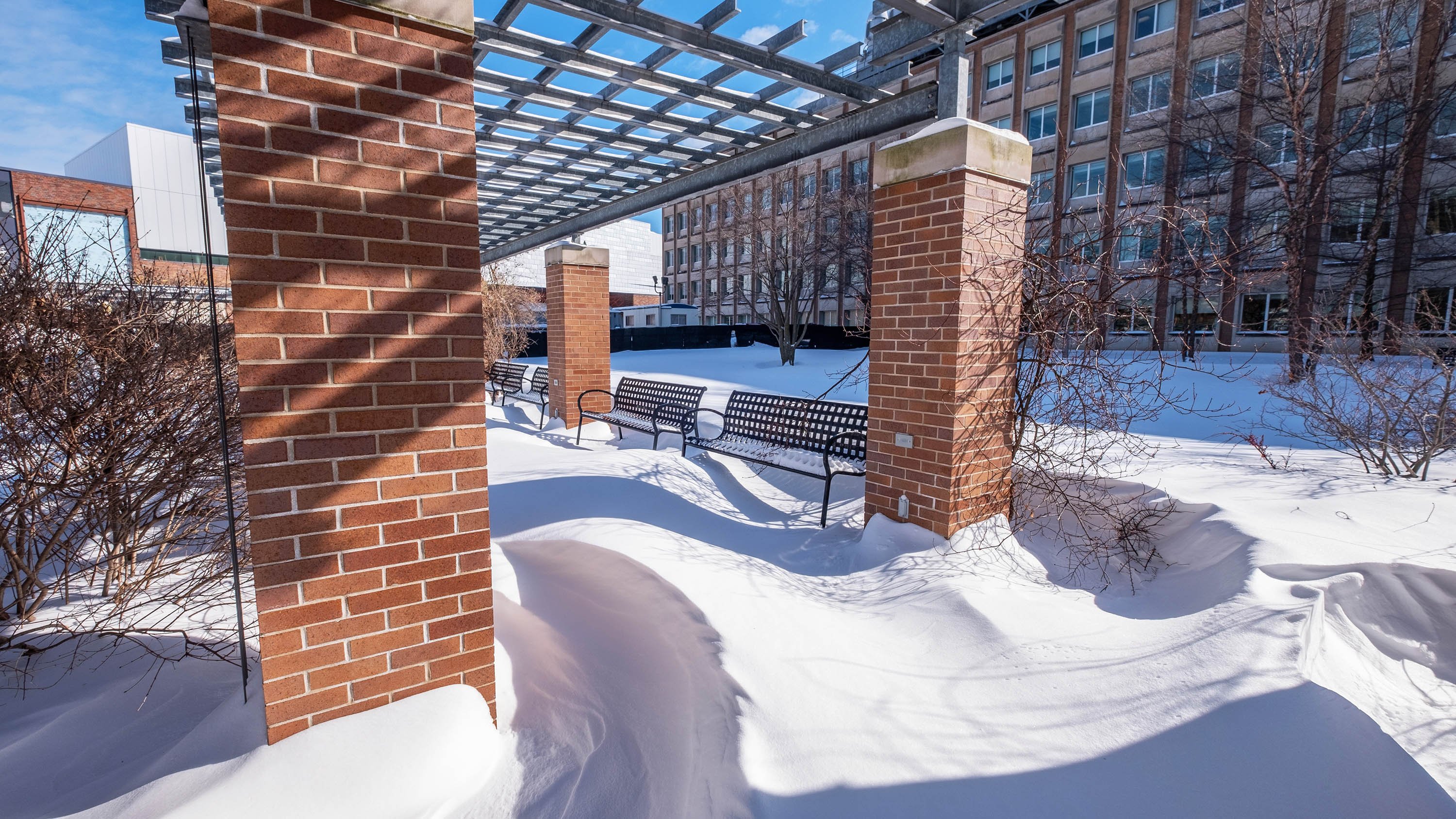 MSU BPS courtyard, buried in snow