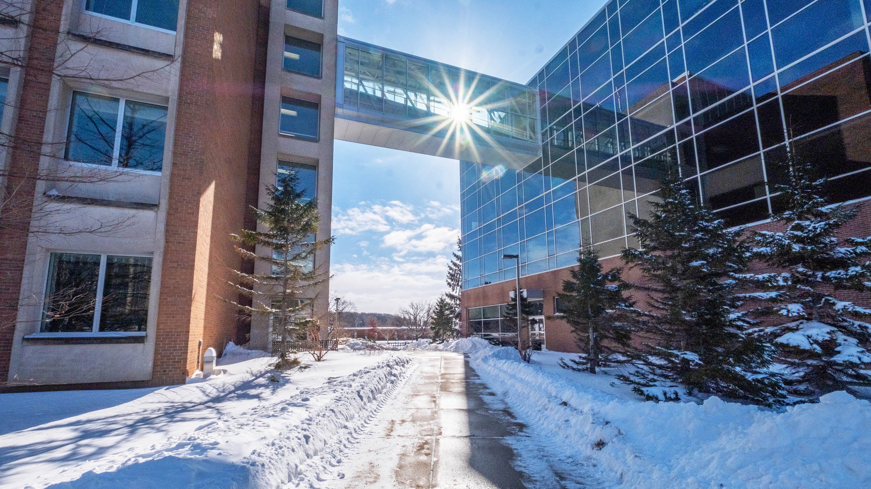 MSU BPS and Chemistry buildings