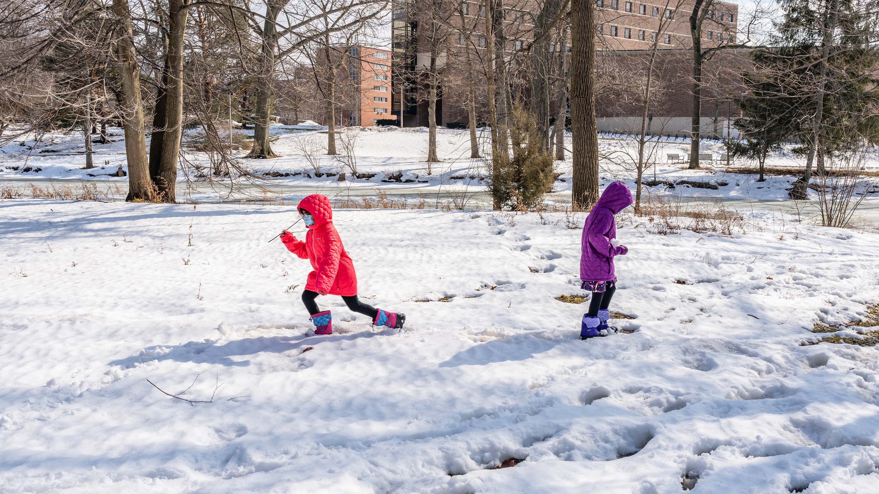 Children playing in the snow