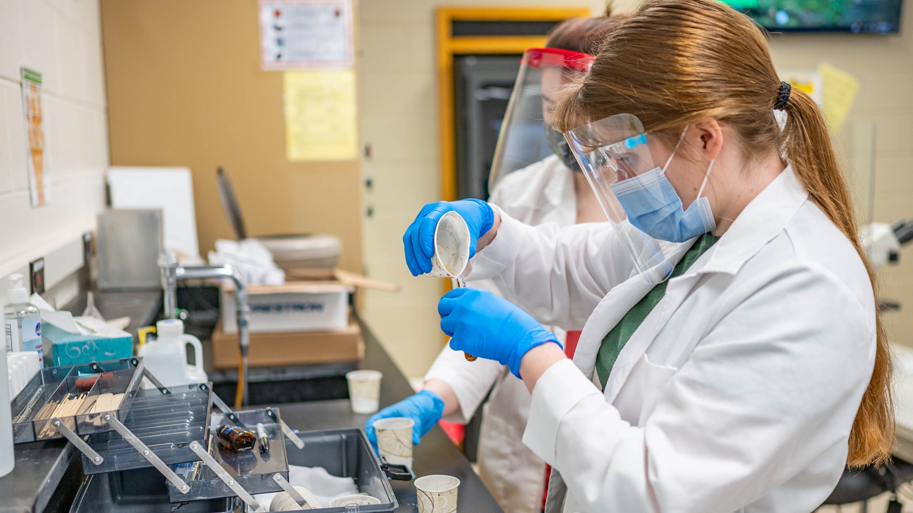 Student examining samples in a lab