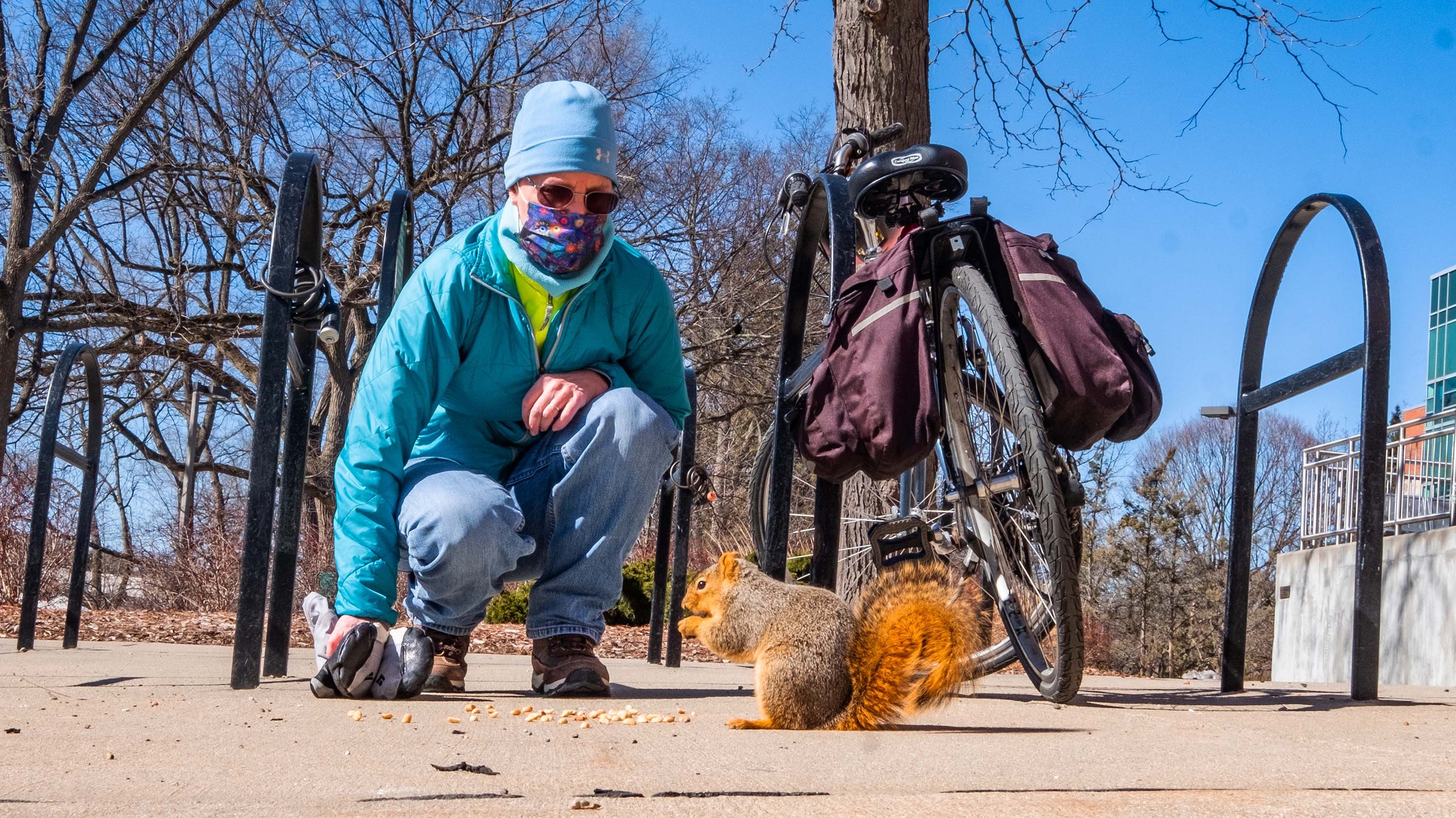 Person feeding squirrels next to a bike rack