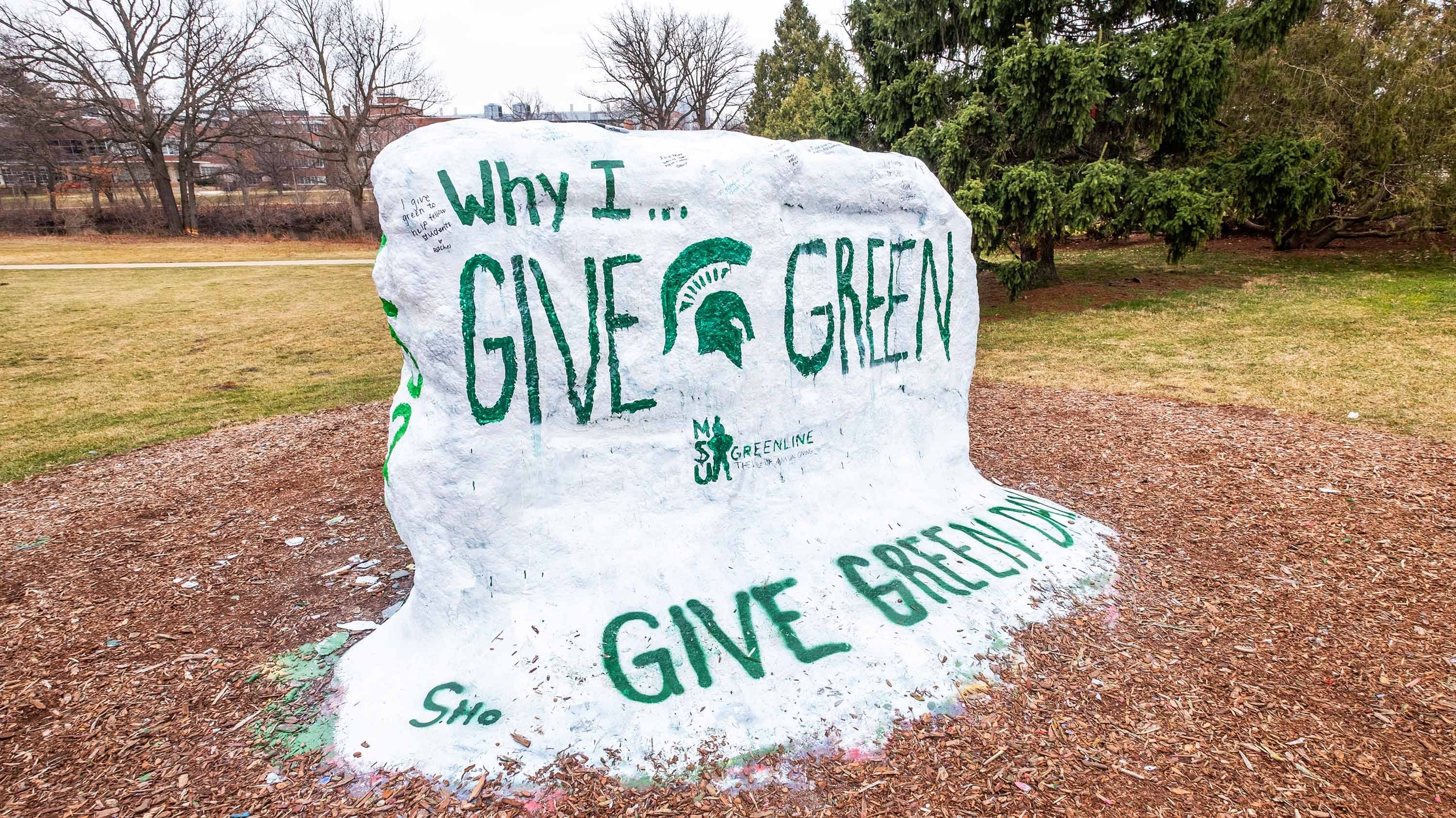 The Rock painted with the words 'Why I give green, Give Green Day'