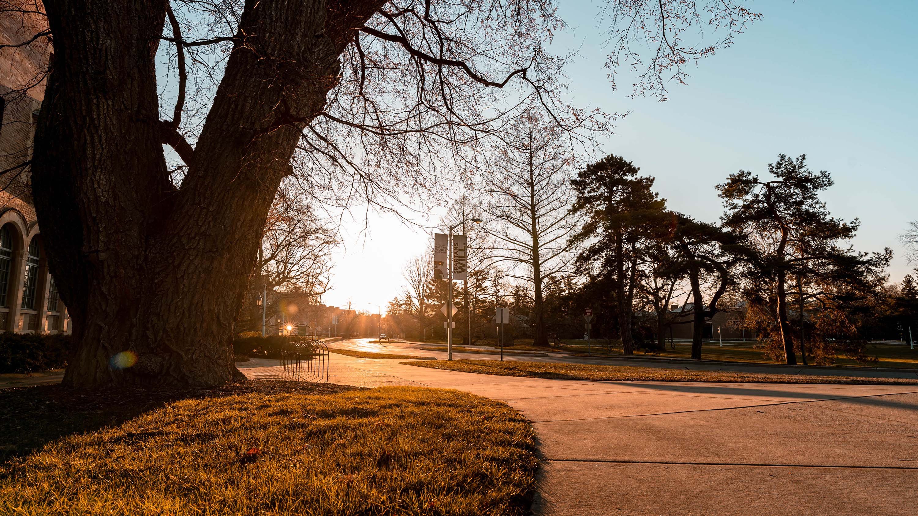 Sidewalk of West Circle Drive 