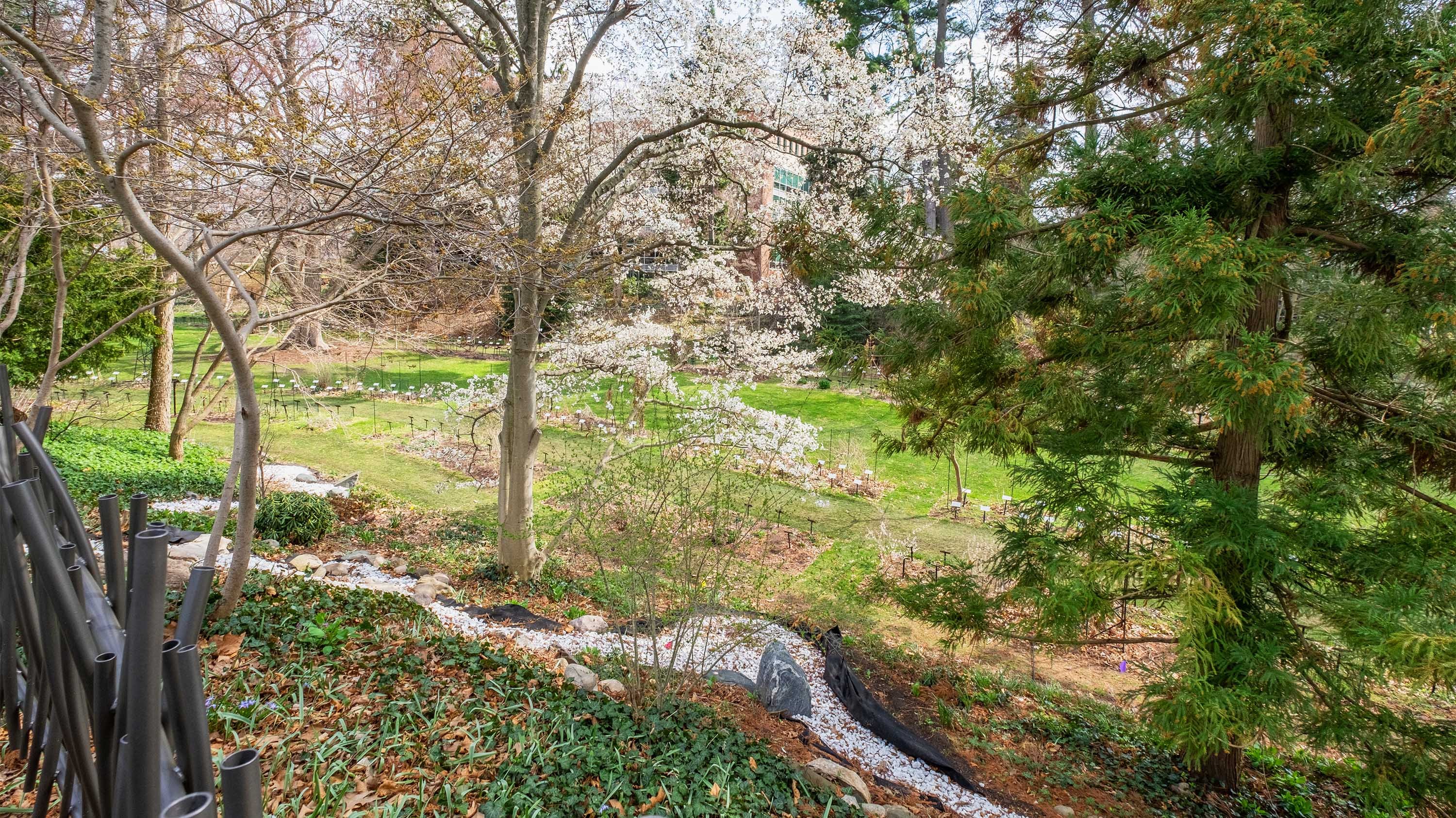 W. J. Beal Botanical Garden