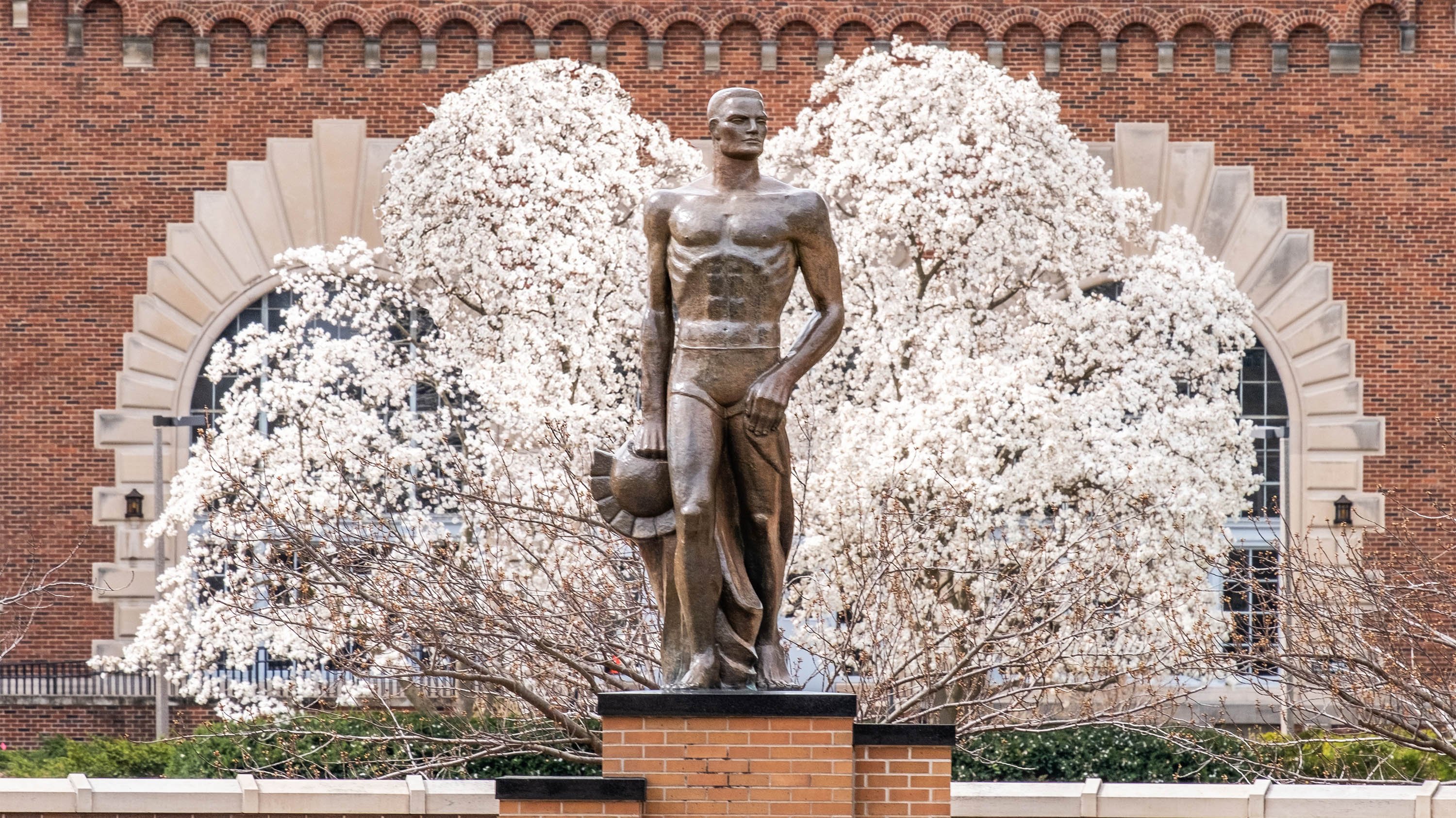 Spartan Statue