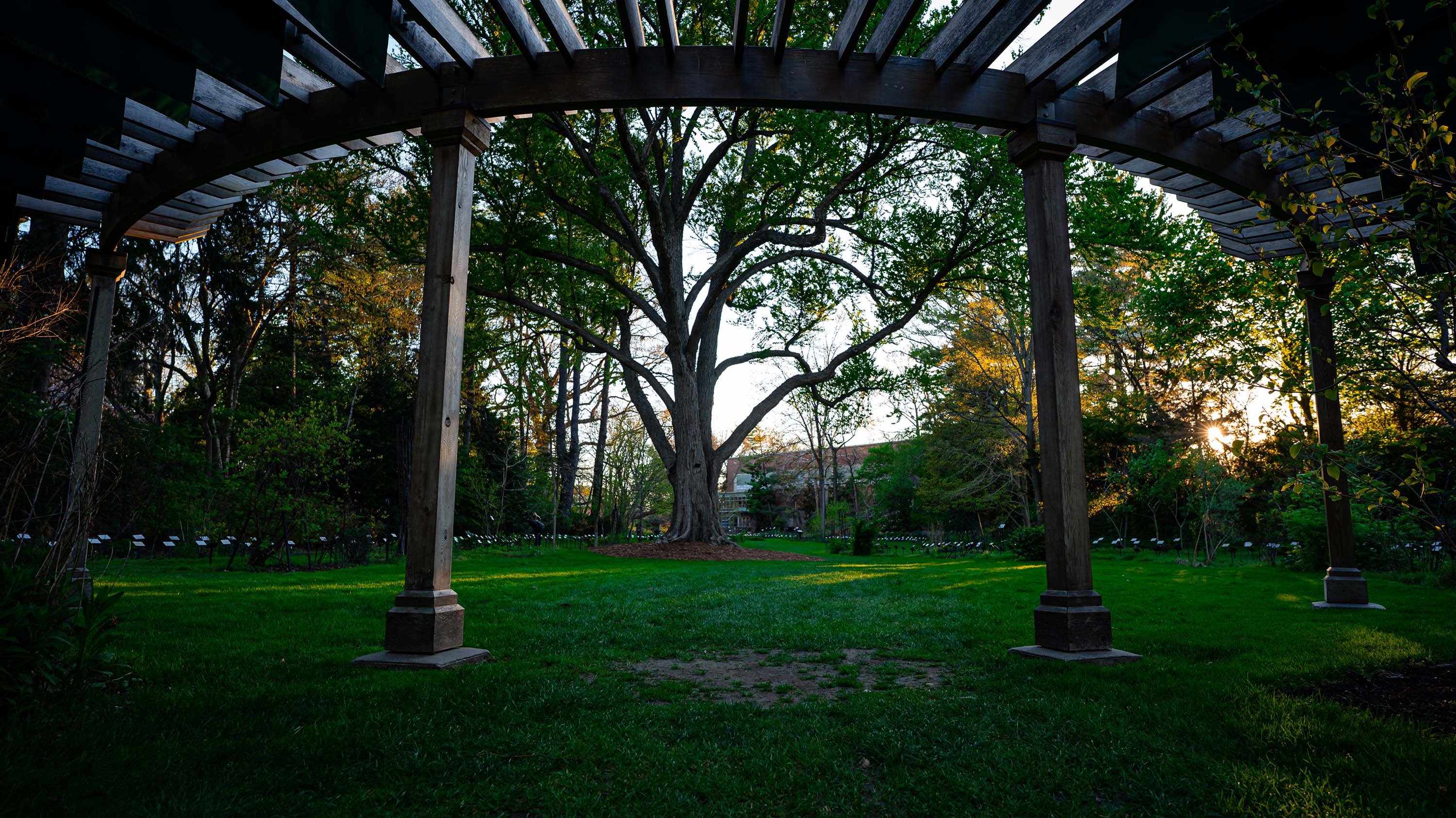Pergola at Beal Botanical garden