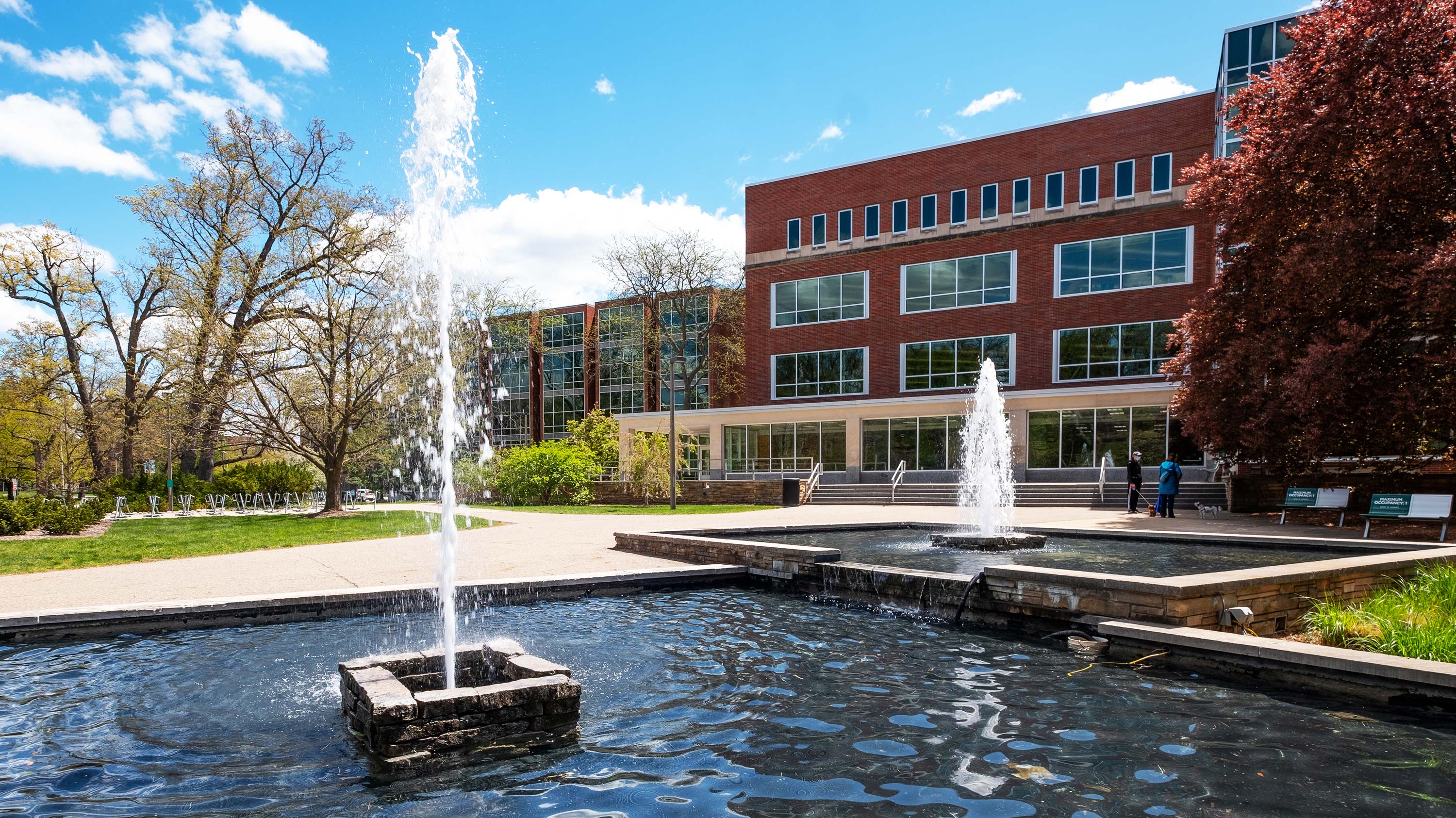MSU Library fountain