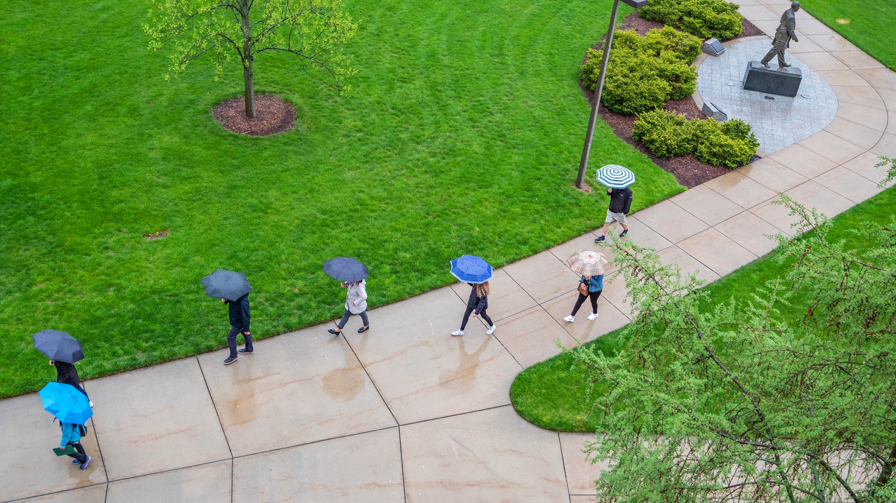 Students walking with umbrellas on campus