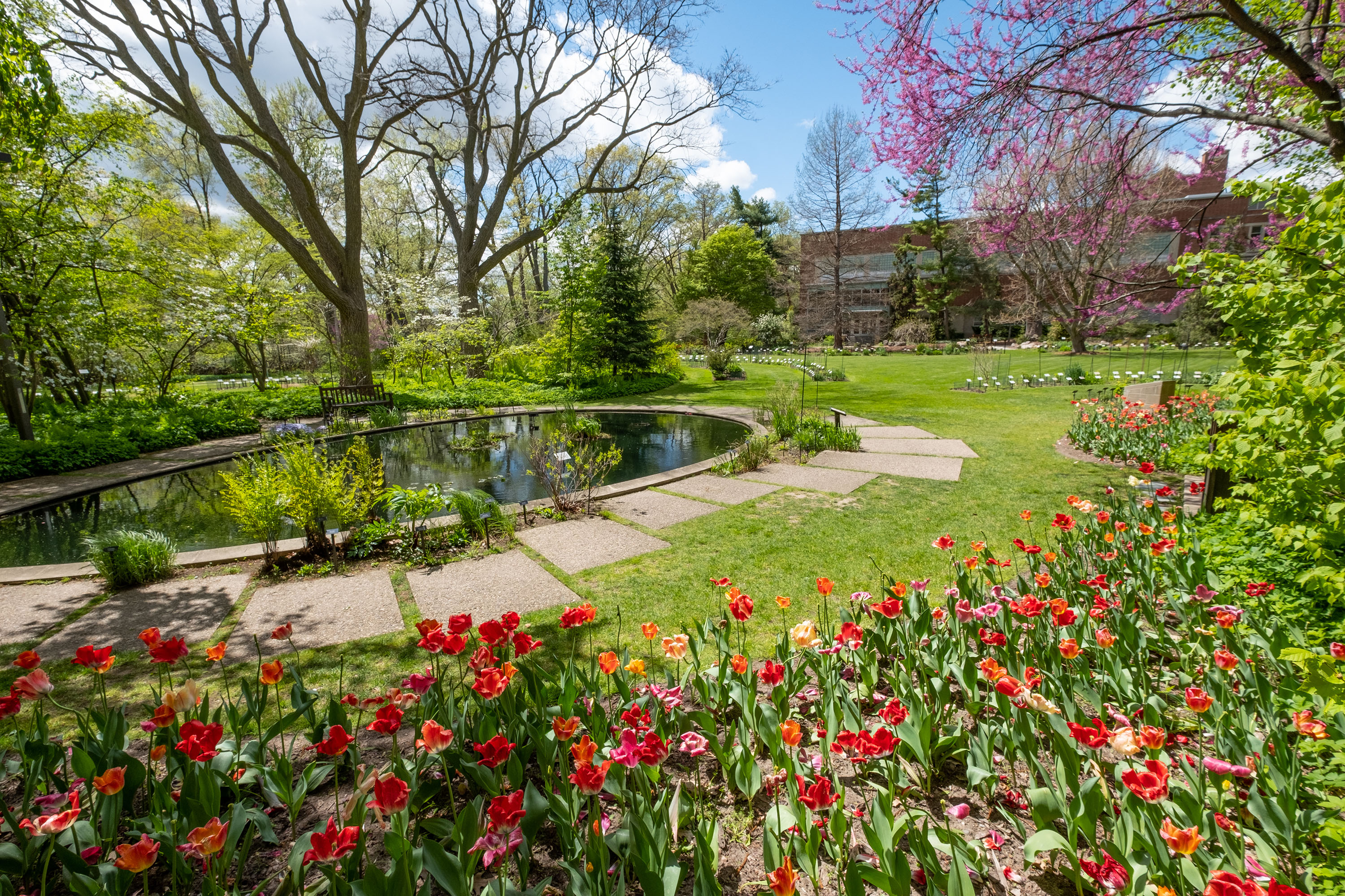Bright flowers near a pond.