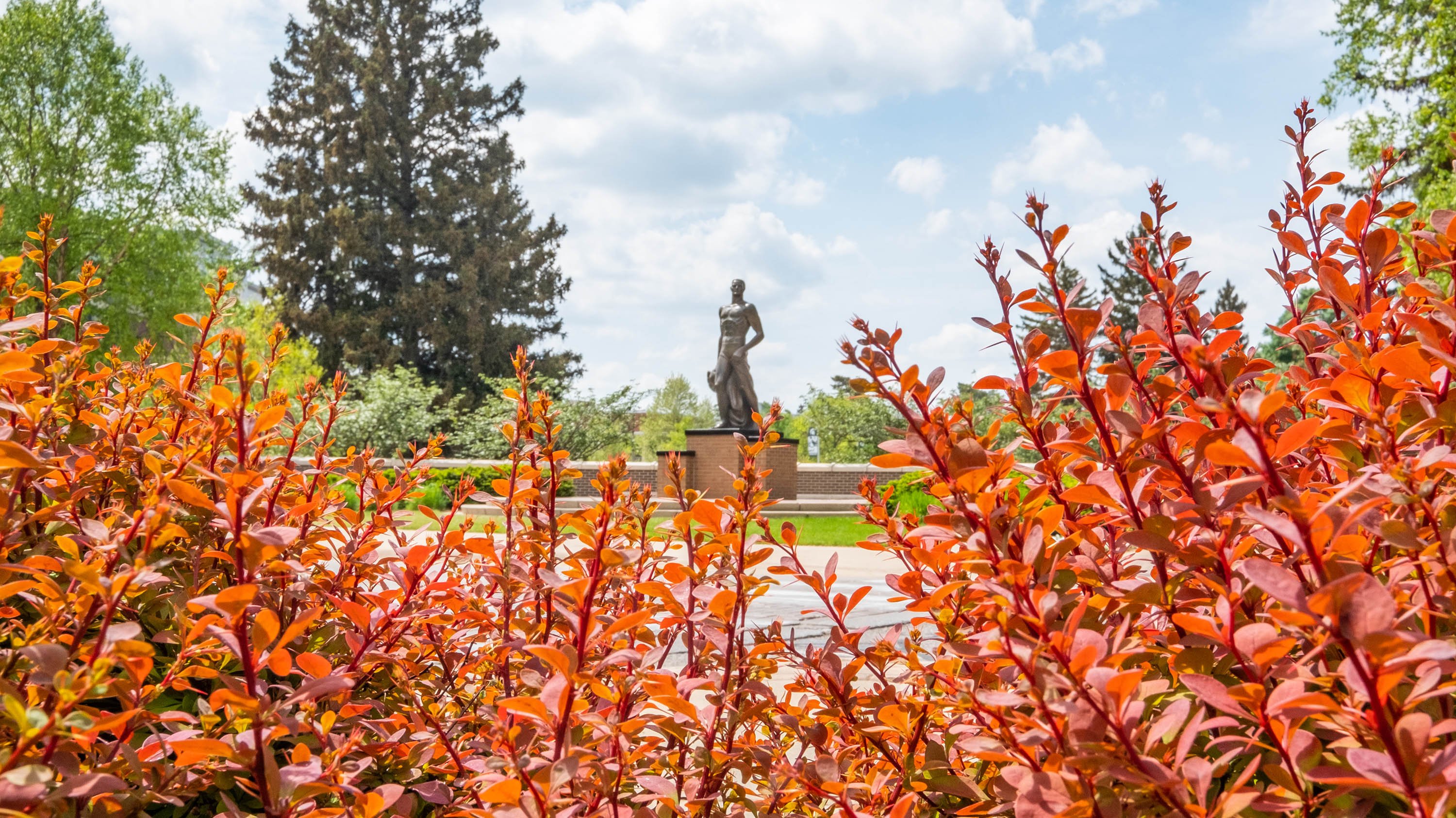 Spartan statue seen from behind bushes