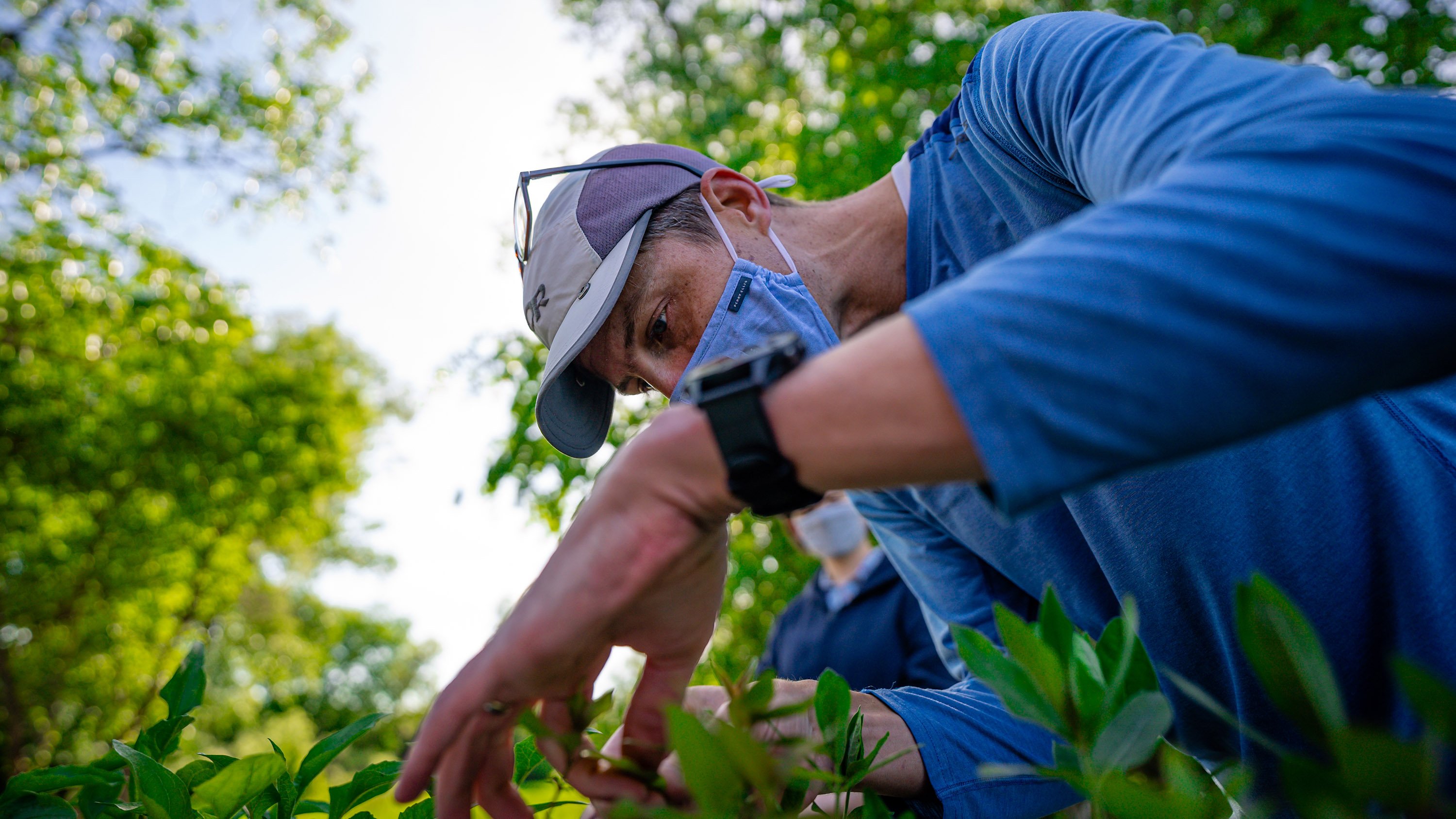 Lars Brudvig inspects seedlings