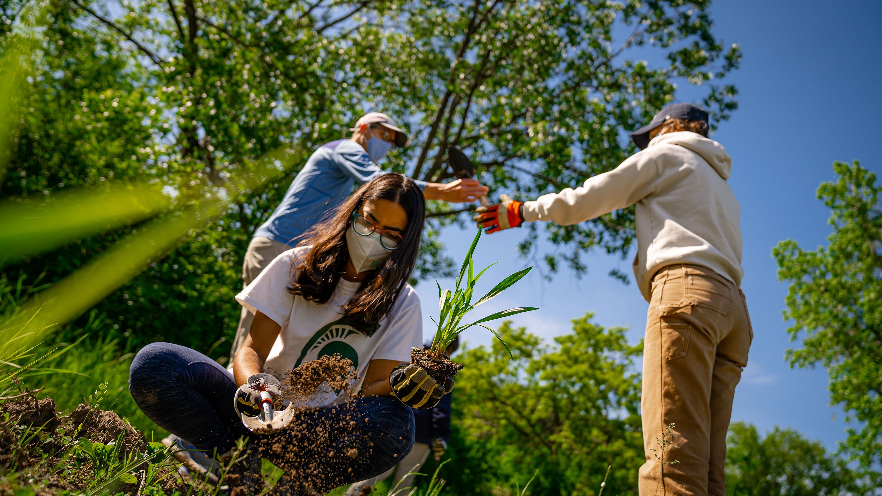 Students planting seedlings outside