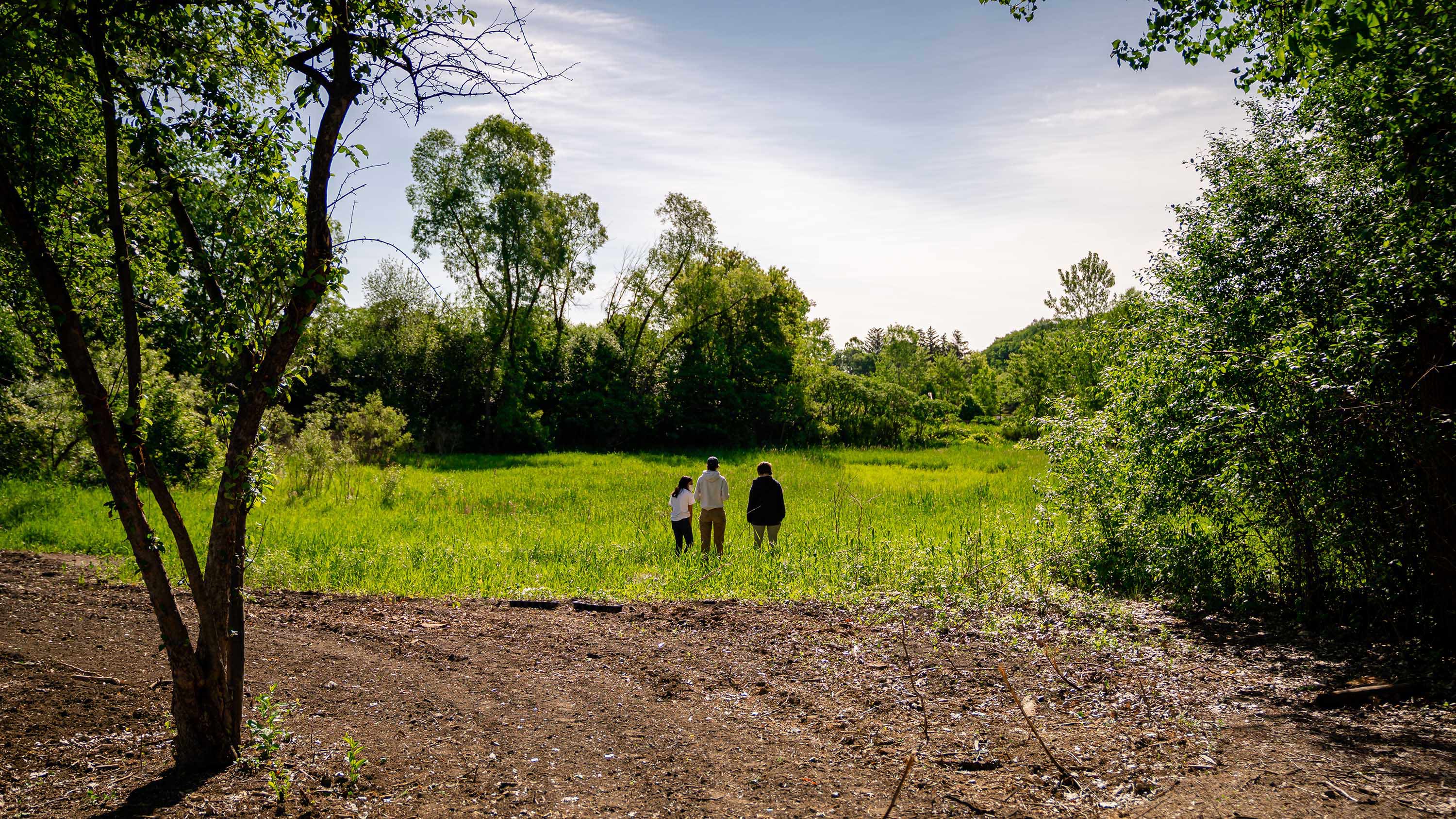 Three students in a field