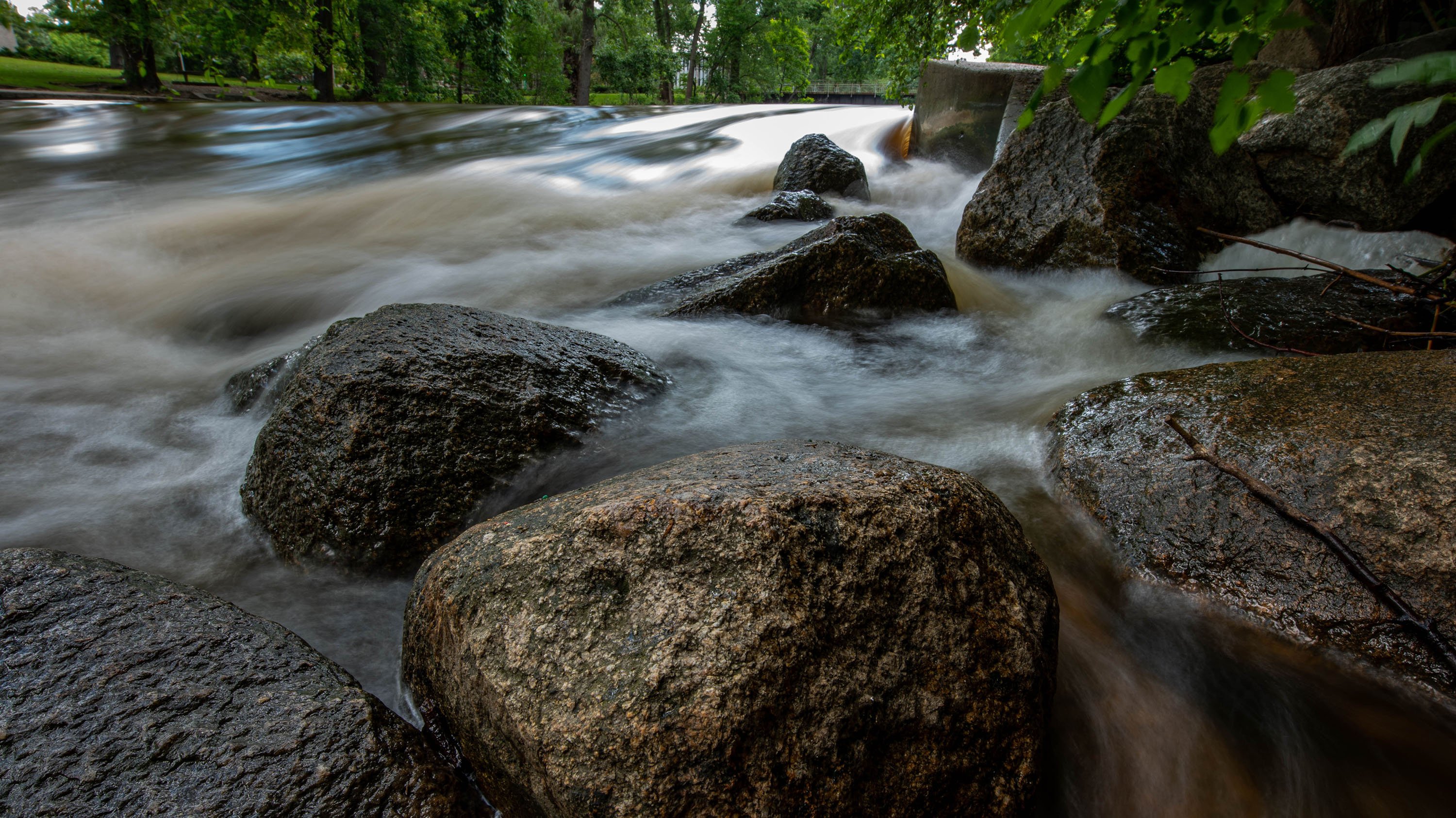Stones in the red cedar river
