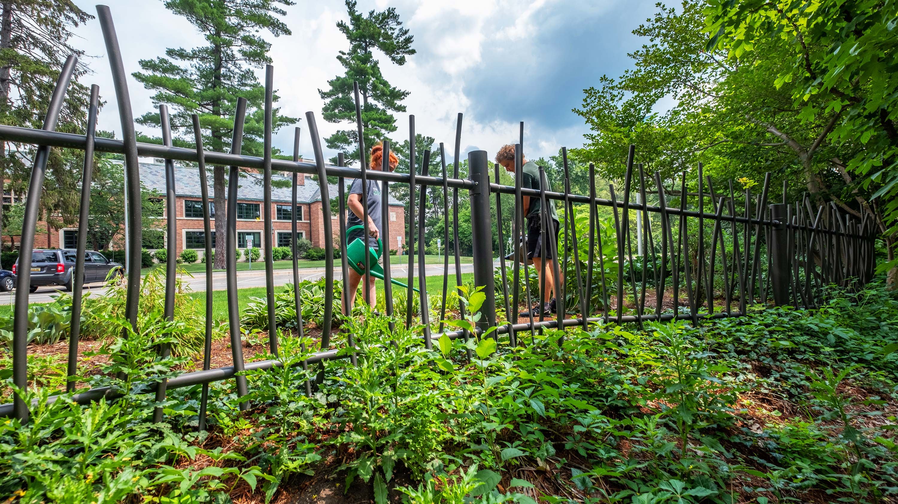Students watering plants in Beal botanical garden