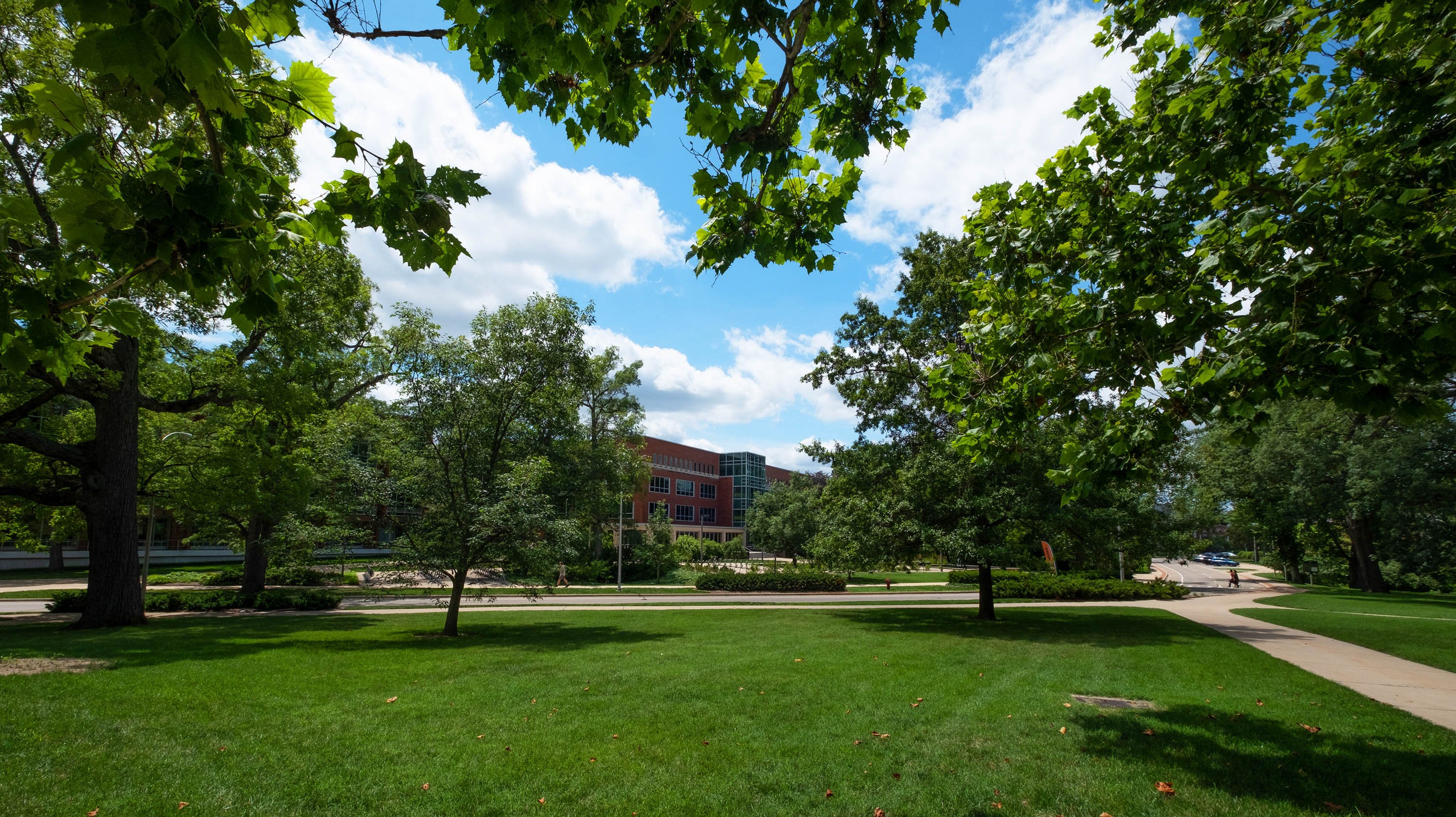 Campus view with library in background
